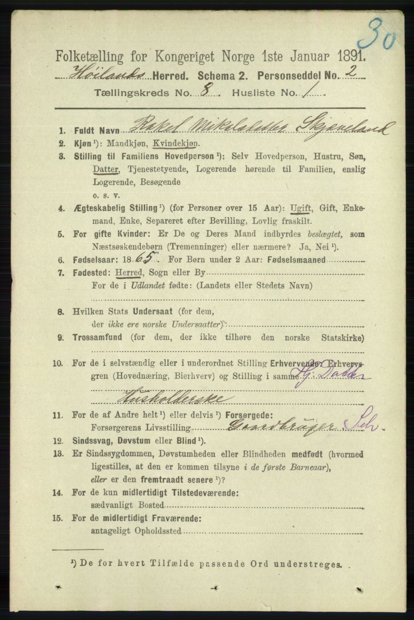 RA, 1891 census for 1123 Høyland, 1891, p. 2962