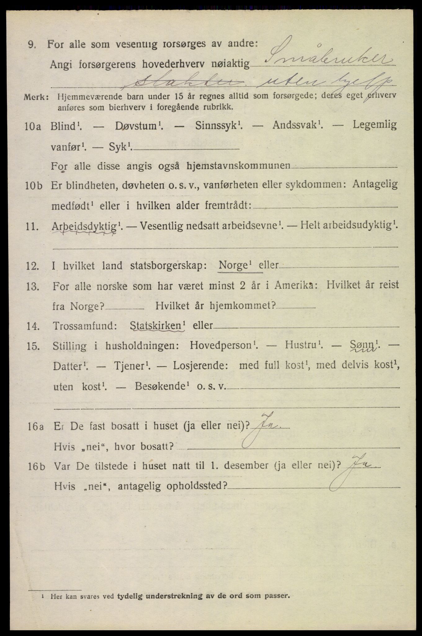 SAH, 1920 census for Sør-Odal, 1920, p. 13926