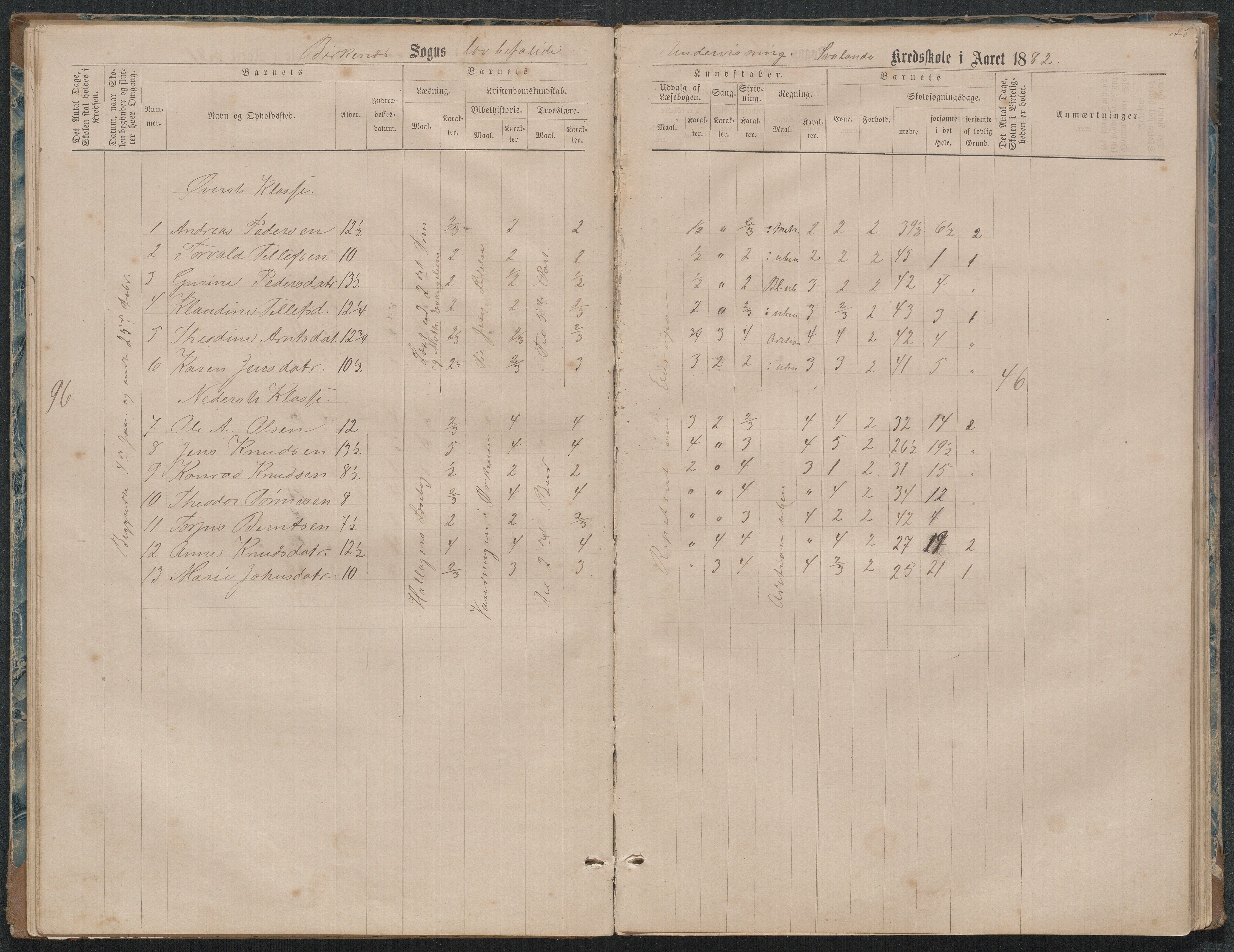 Birkenes kommune, Ås/Svaland skolekrets, AAKS/KA0928-550i_91/F02/L0001: Skoleprotokoll Svaland, Skjerkilen, Ås, 1875-1914, p. 25