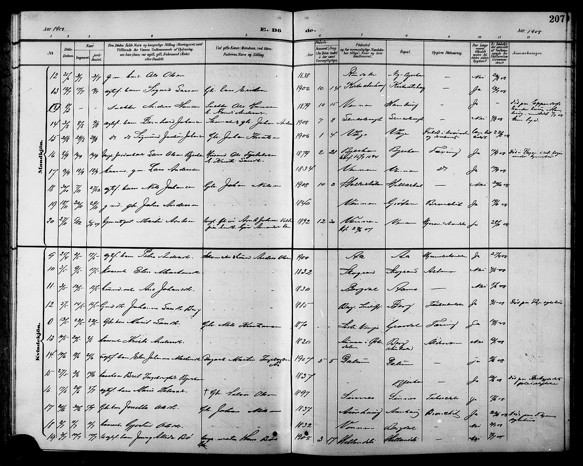 Ministerialprotokoller, klokkerbøker og fødselsregistre - Sør-Trøndelag, SAT/A-1456/630/L0505: Parish register (copy) no. 630C03, 1899-1914, p. 207