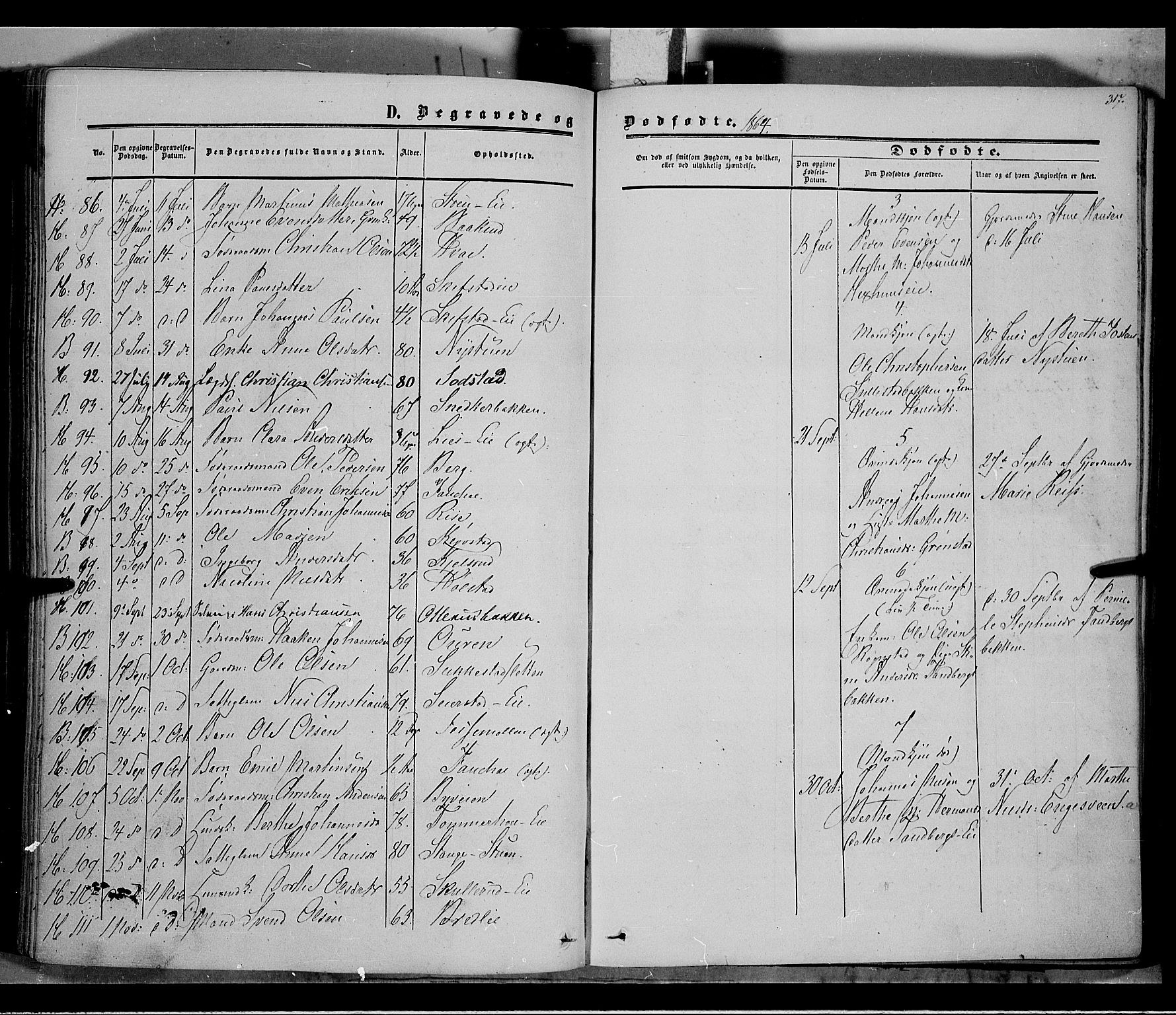 Østre Toten prestekontor, AV/SAH-PREST-104/H/Ha/Haa/L0004: Parish register (official) no. 4, 1857-1865, p. 317