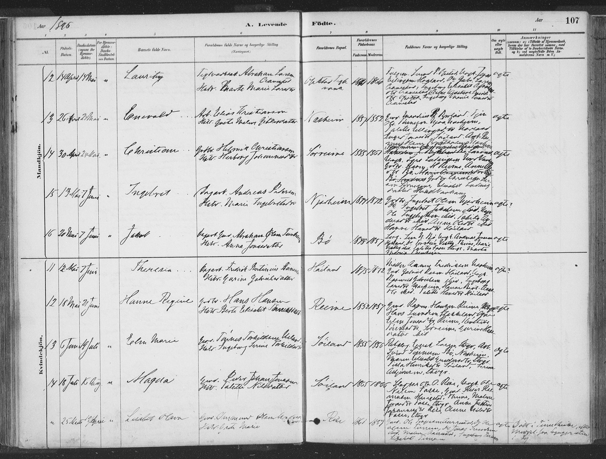 Hå sokneprestkontor, AV/SAST-A-101801/001/30BA/L0010: Parish register (official) no. A 9, 1879-1896, p. 107