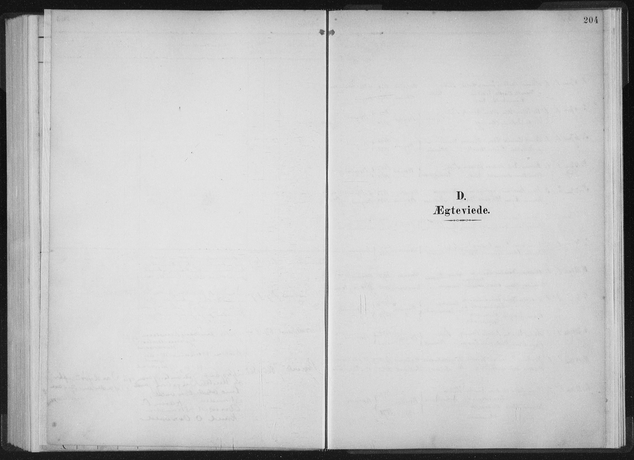 Ministerialprotokoller, klokkerbøker og fødselsregistre - Møre og Romsdal, AV/SAT-A-1454/528/L0405: Parish register (official) no. 528A14, 1891-1906, p. 204