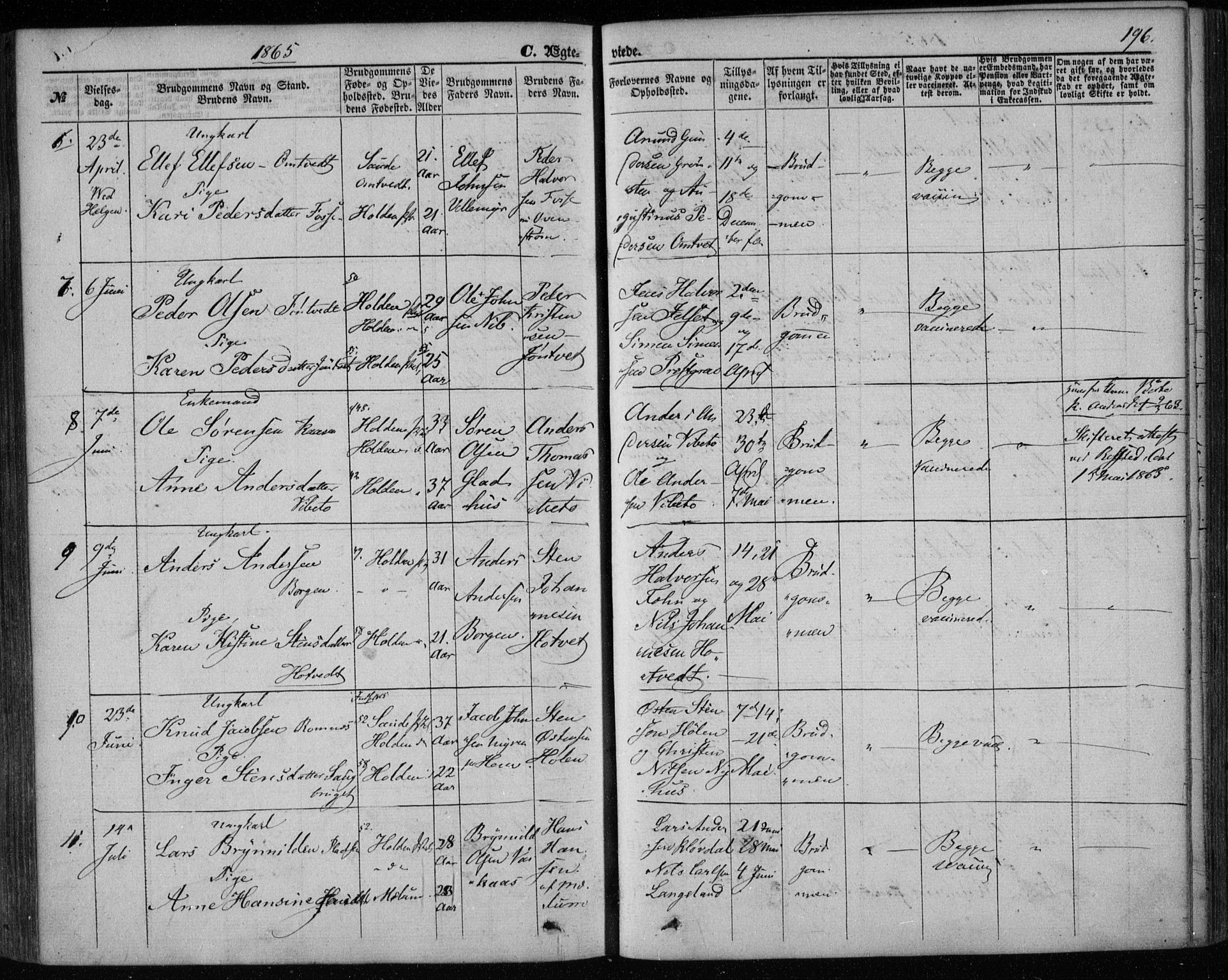 Holla kirkebøker, SAKO/A-272/F/Fa/L0006: Parish register (official) no. 6, 1861-1869, p. 196