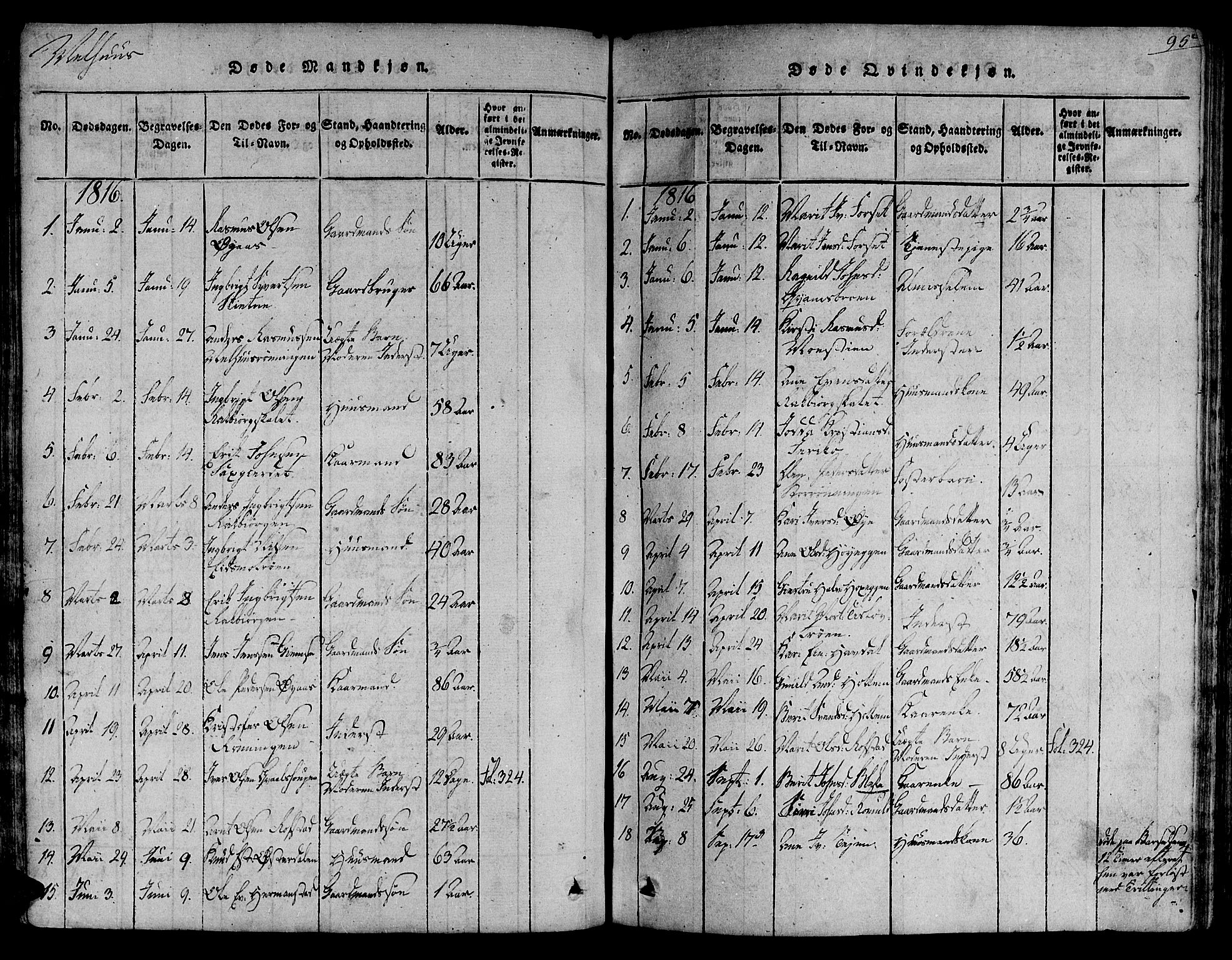 Ministerialprotokoller, klokkerbøker og fødselsregistre - Sør-Trøndelag, AV/SAT-A-1456/691/L1065: Parish register (official) no. 691A03 /1, 1816-1826, p. 95