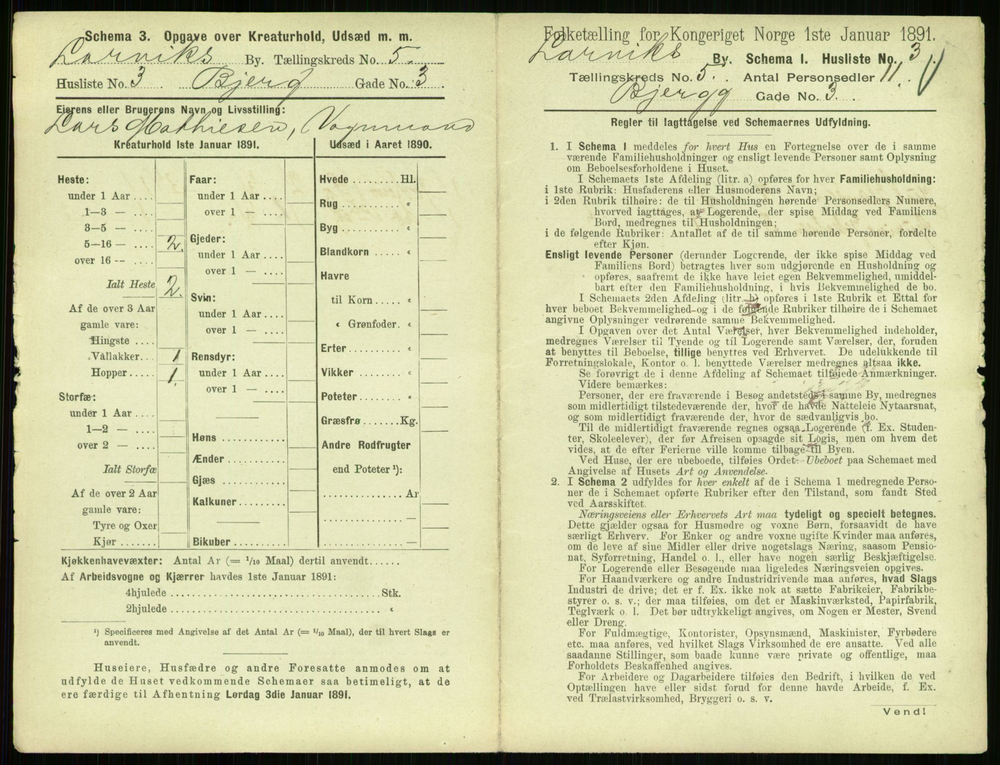 RA, 1891 census for 0707 Larvik, 1891, p. 693