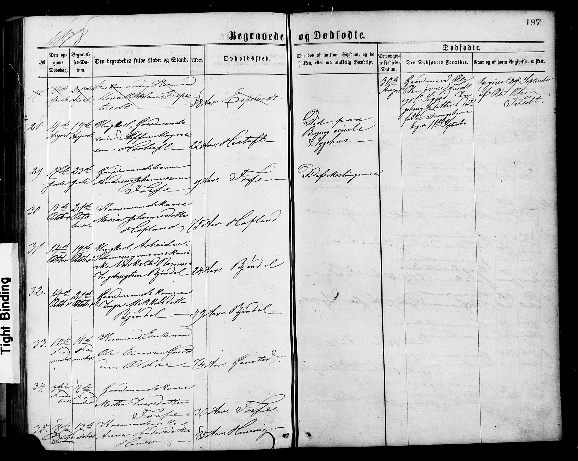 Alversund Sokneprestembete, SAB/A-73901/H/Ha/Hab: Parish register (copy) no. C 2, 1867-1880, p. 197