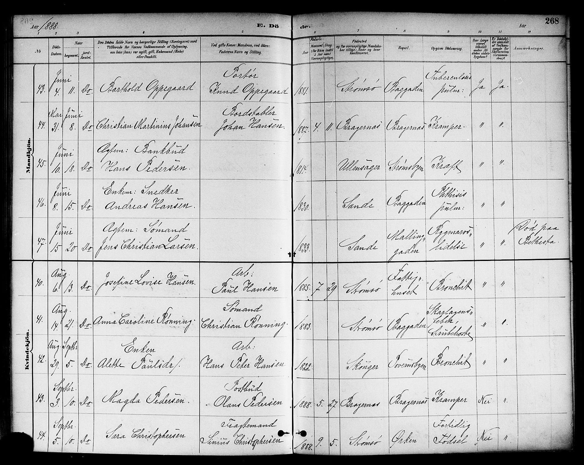 Strømsø kirkebøker, SAKO/A-246/F/Fa/L0023: Parish register (official) no. I 23, 1885-1894, p. 268