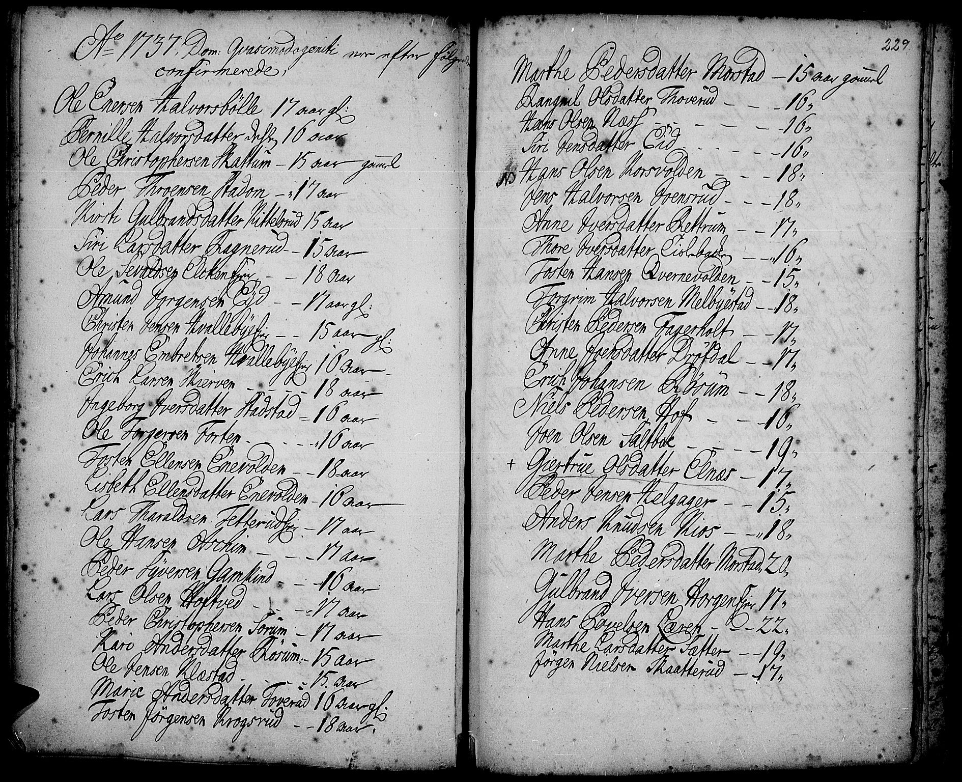 Gran prestekontor, AV/SAH-PREST-112/H/Ha/Haa/L0002: Parish register (official) no. 2, 1732-1744, p. 229