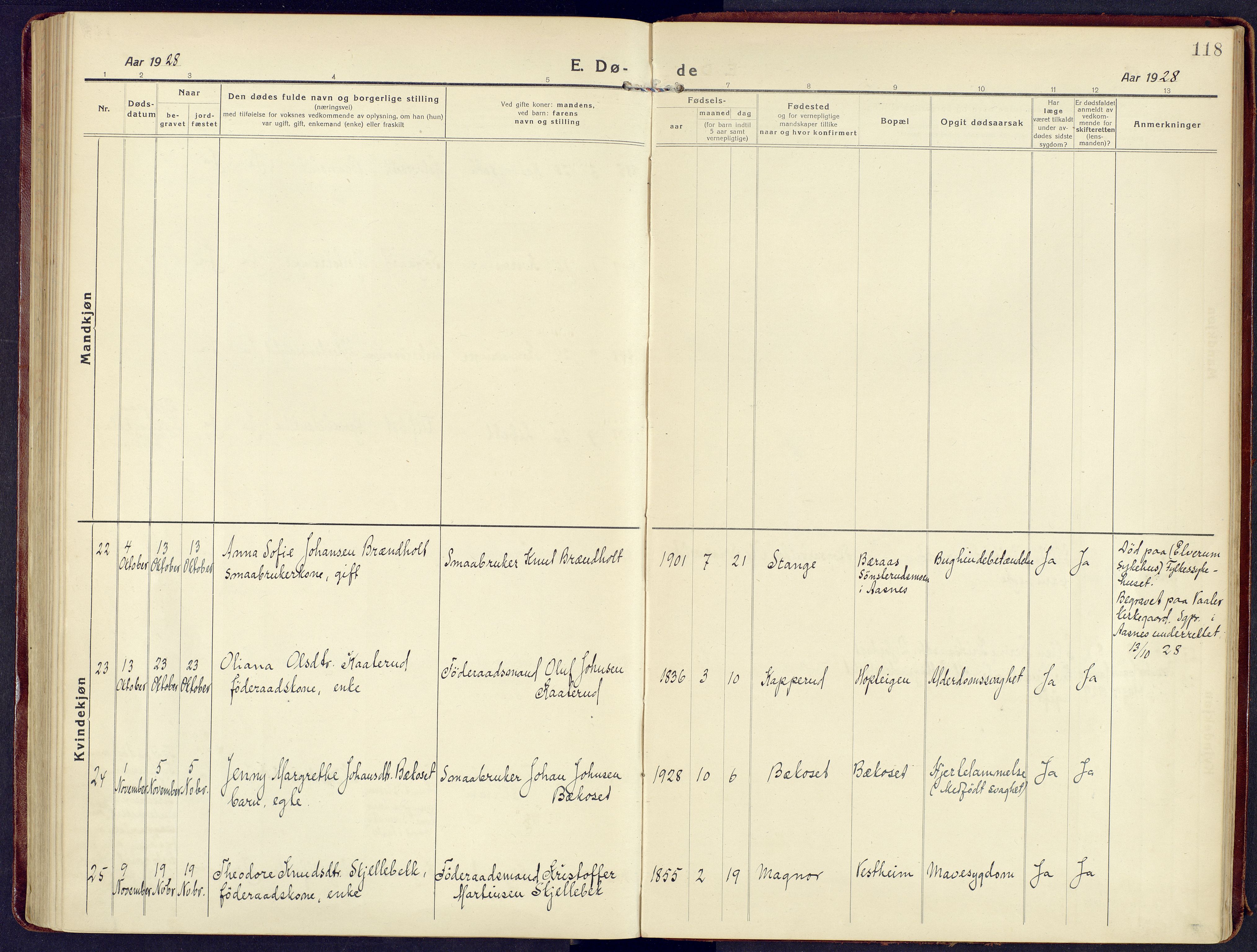 Våler prestekontor, Hedmark, AV/SAH-PREST-040/H/Ha/Haa/L0011: Parish register (official) no. 11, 1919-1933, p. 118