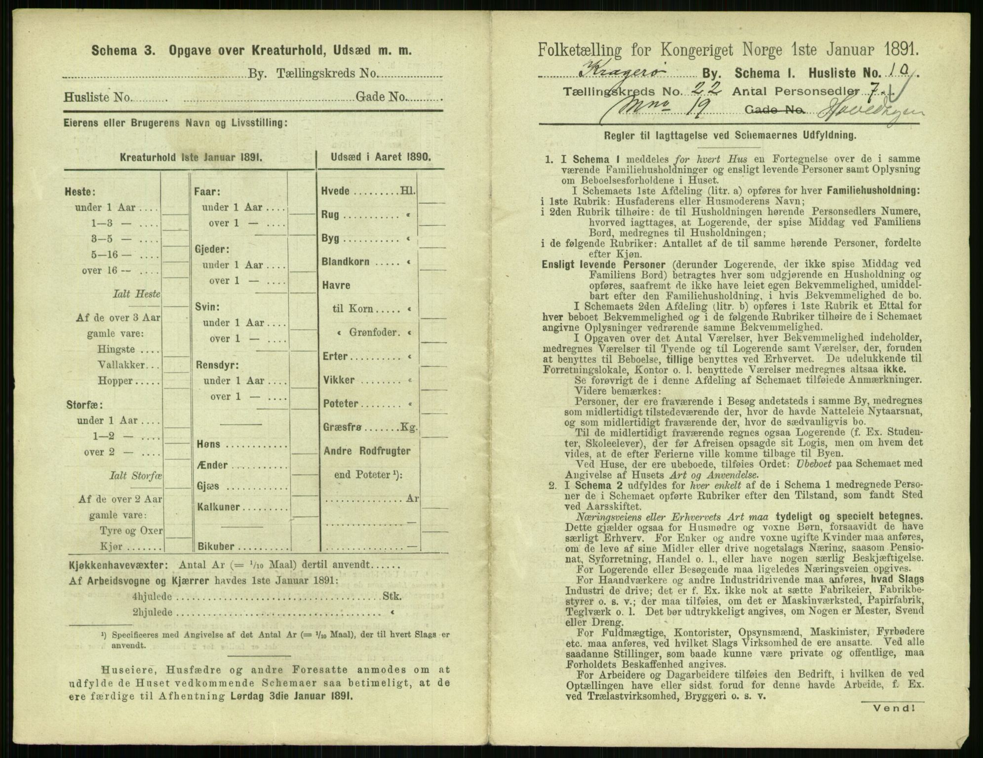 RA, 1891 census for 0801 Kragerø, 1891, p. 878