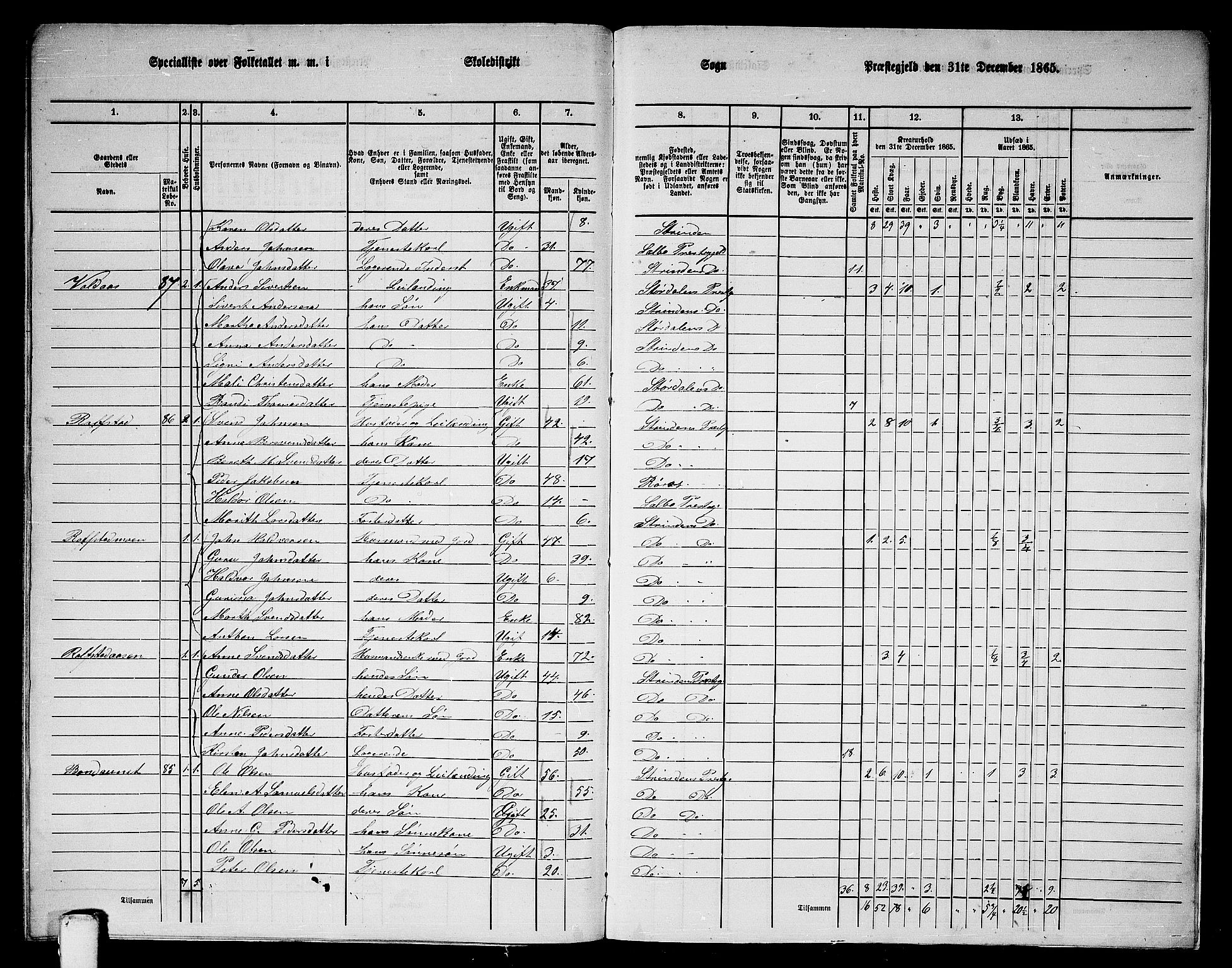 RA, 1865 census for Strinda, 1865, p. 266