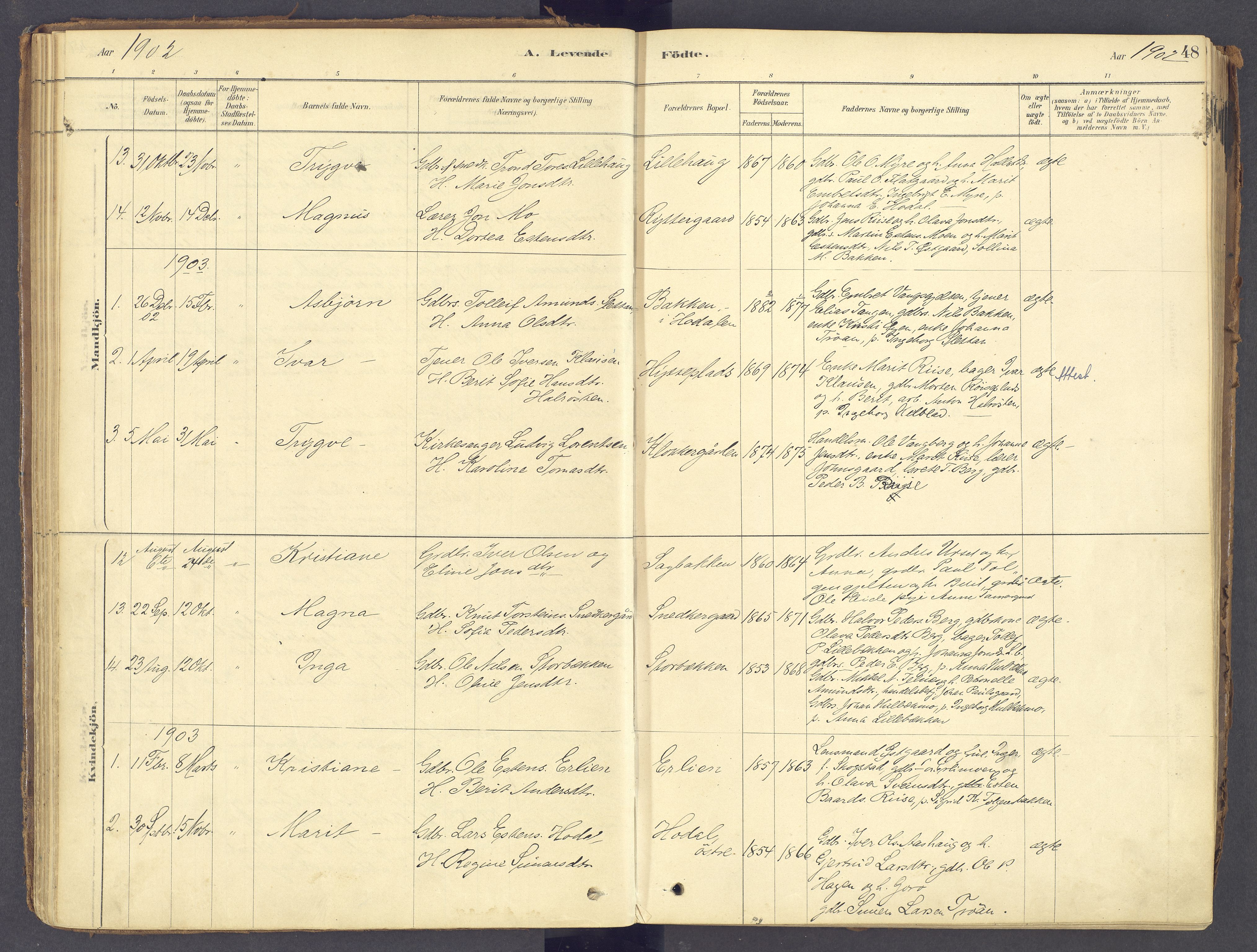 Tolga prestekontor, AV/SAH-PREST-062/K/L0011: Parish register (official) no. 11, 1877-1920, p. 48