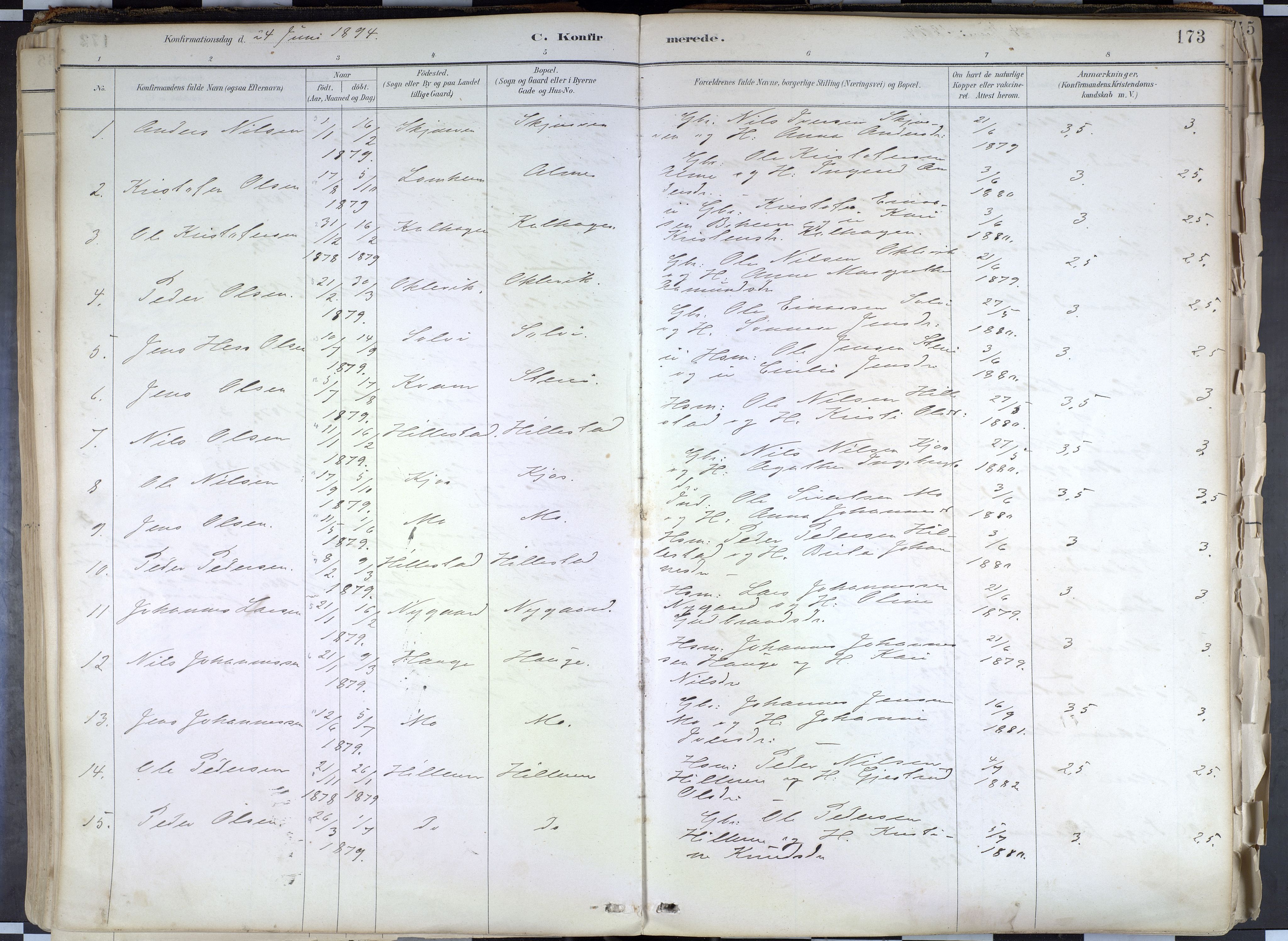 Hafslo sokneprestembete, AV/SAB-A-80301/H/Haa/Haab/L0001: Parish register (official) no. B 1, 1886-1945, p. 173