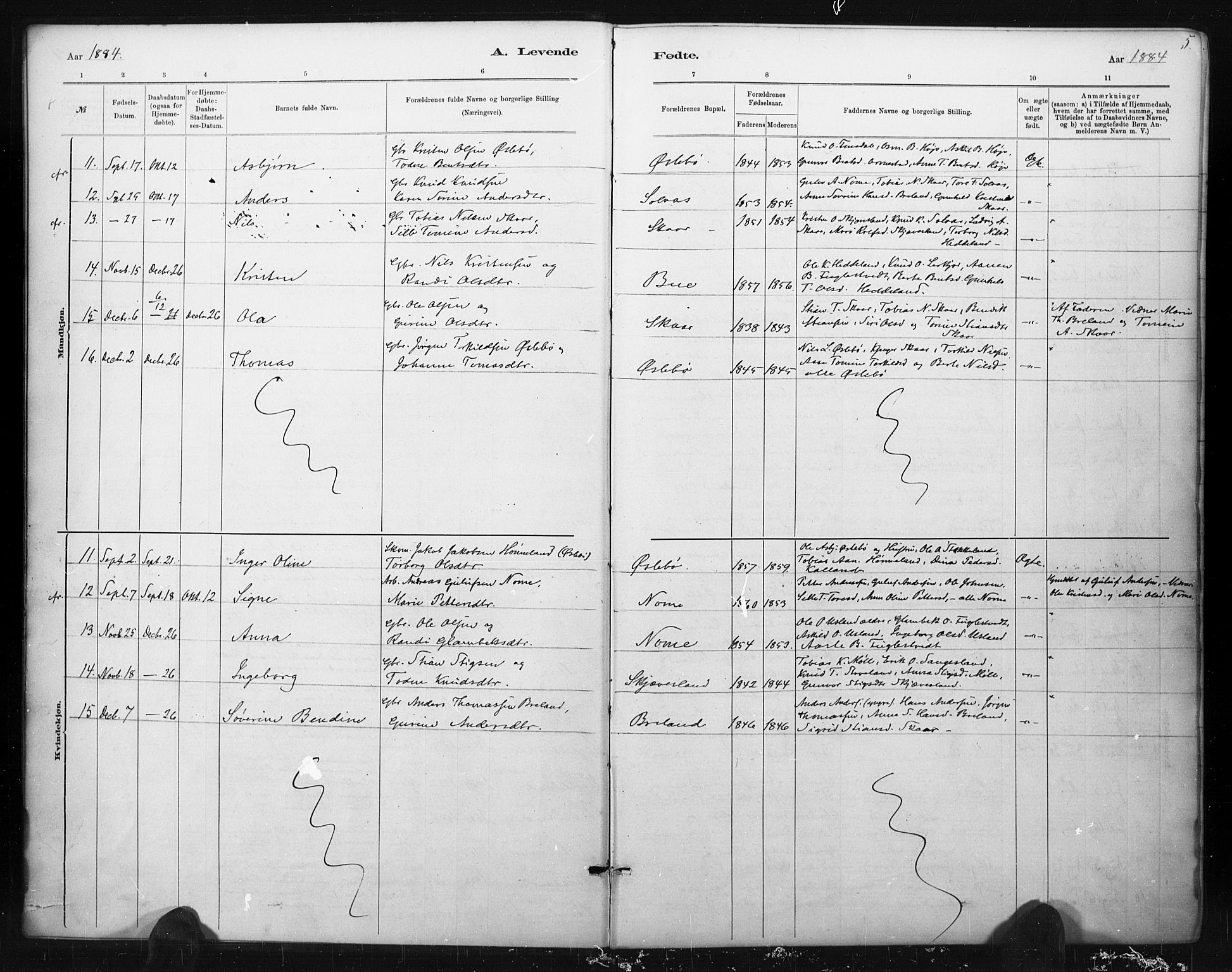 Holum sokneprestkontor, AV/SAK-1111-0022/F/Fa/Fac/L0004: Parish register (official) no. A 4, 1884-1907, p. 5