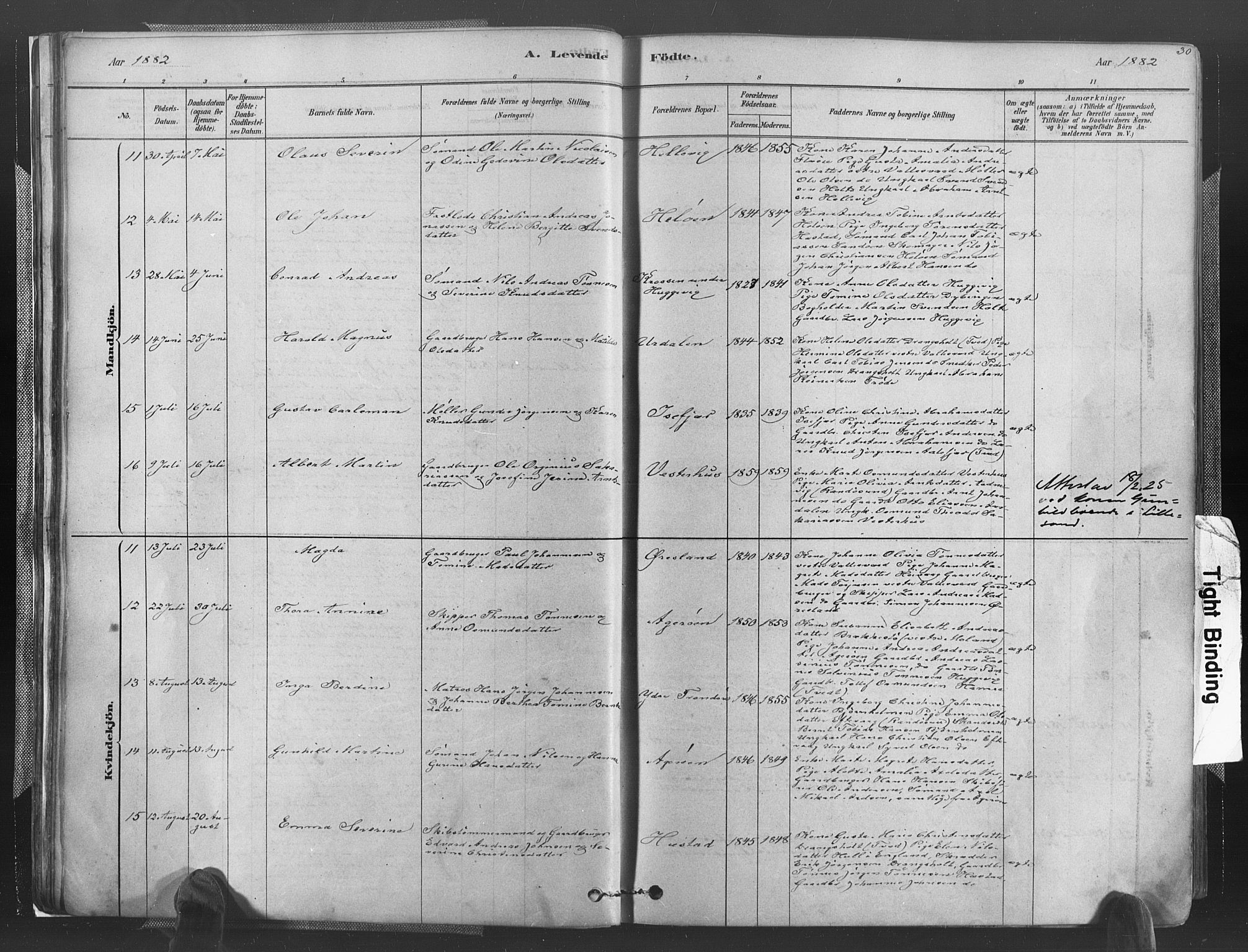 Høvåg sokneprestkontor, AV/SAK-1111-0025/F/Fa/L0005: Parish register (official) no. A 5, 1878-1893, p. 30