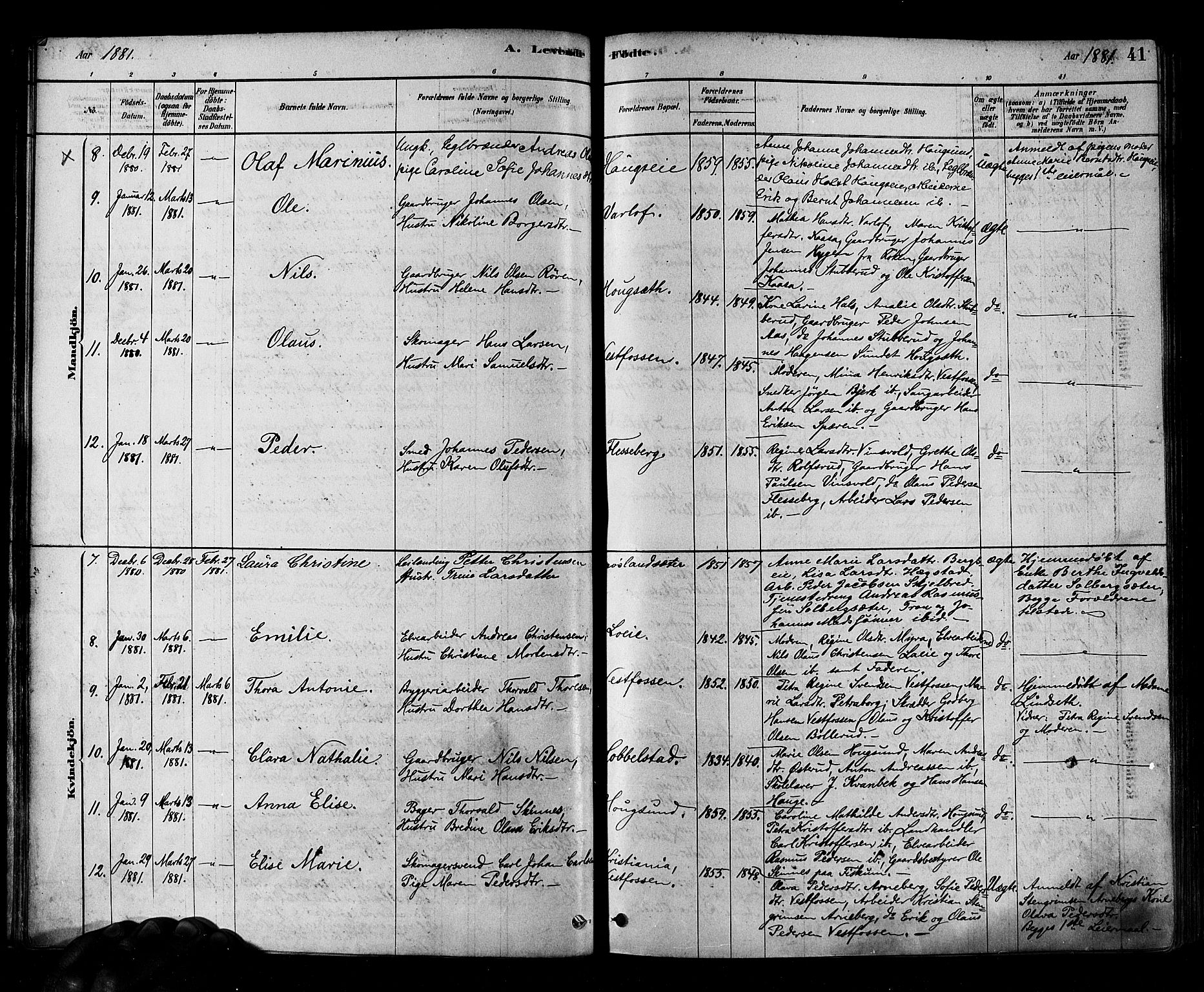 Eiker kirkebøker, AV/SAKO-A-4/F/Fb/L0001: Parish register (official) no. II 1, 1878-1888, p. 41