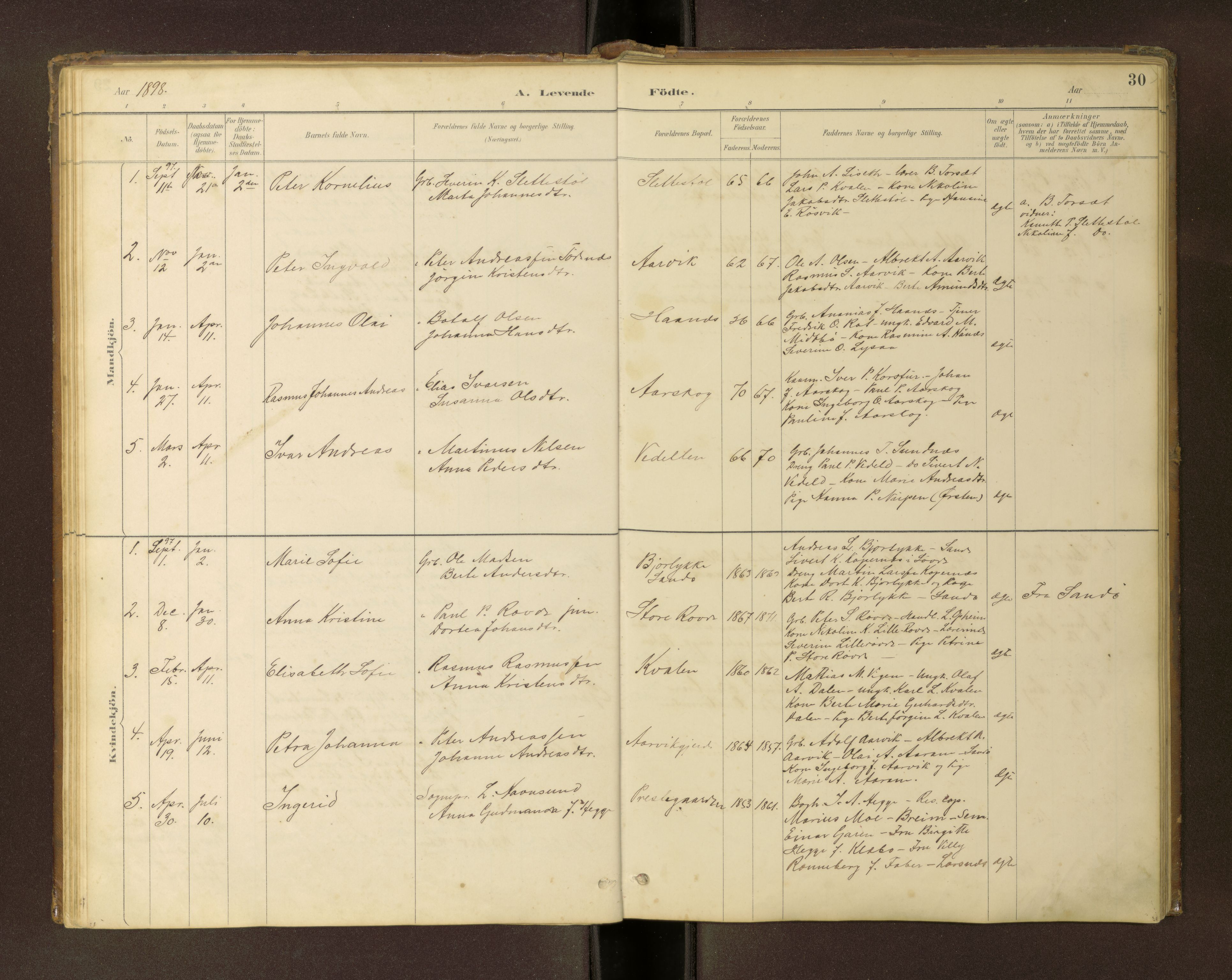 Ministerialprotokoller, klokkerbøker og fødselsregistre - Møre og Romsdal, SAT/A-1454/504/L0060: Parish register (copy) no. 504C02, 1884-1903, p. 30