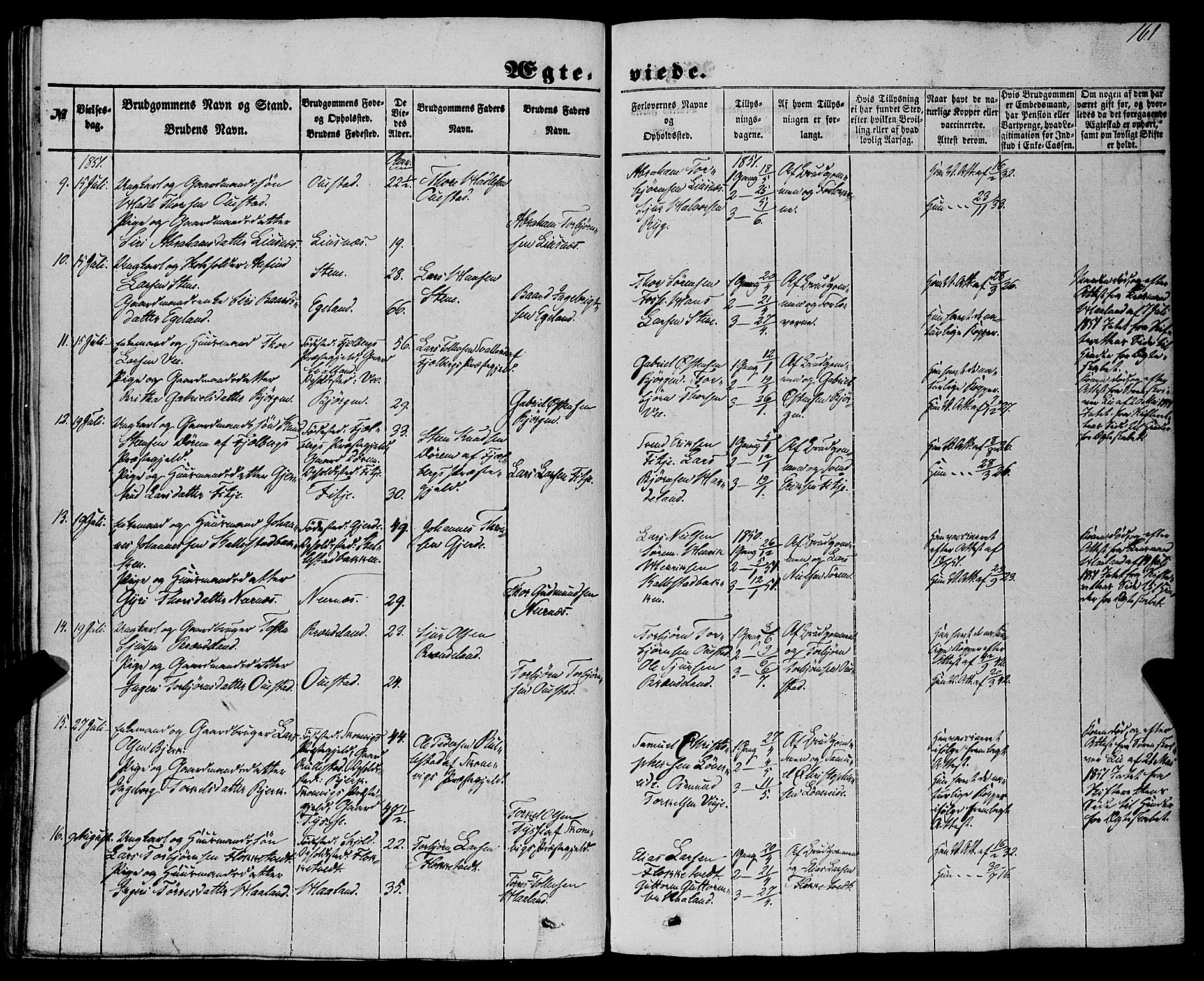 Etne sokneprestembete, AV/SAB-A-75001/H/Haa: Parish register (official) no. A 8, 1848-1862, p. 161