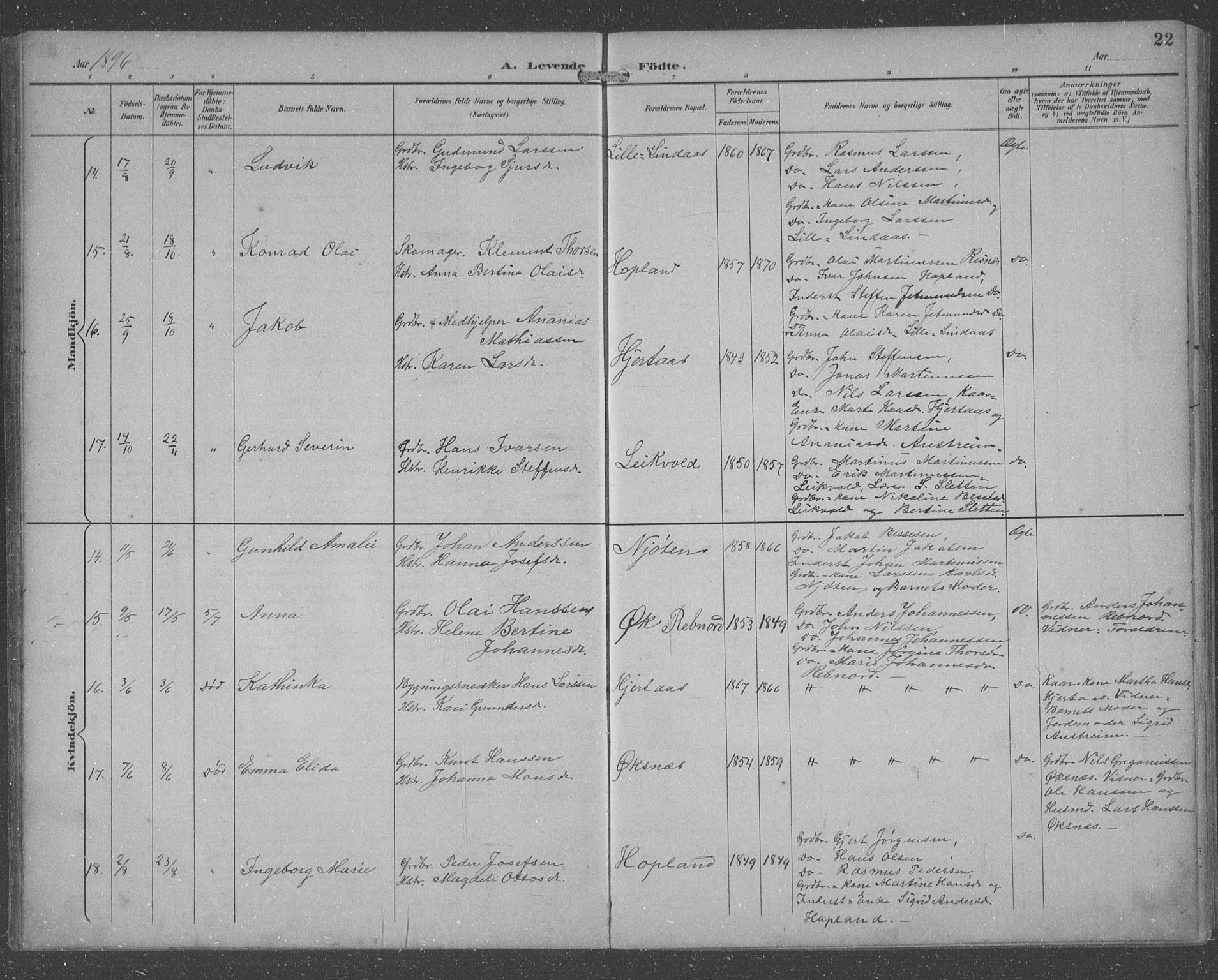 Lindås Sokneprestembete, AV/SAB-A-76701/H/Hab/Habc/L0004: Parish register (copy) no. C 4, 1894-1910, p. 22