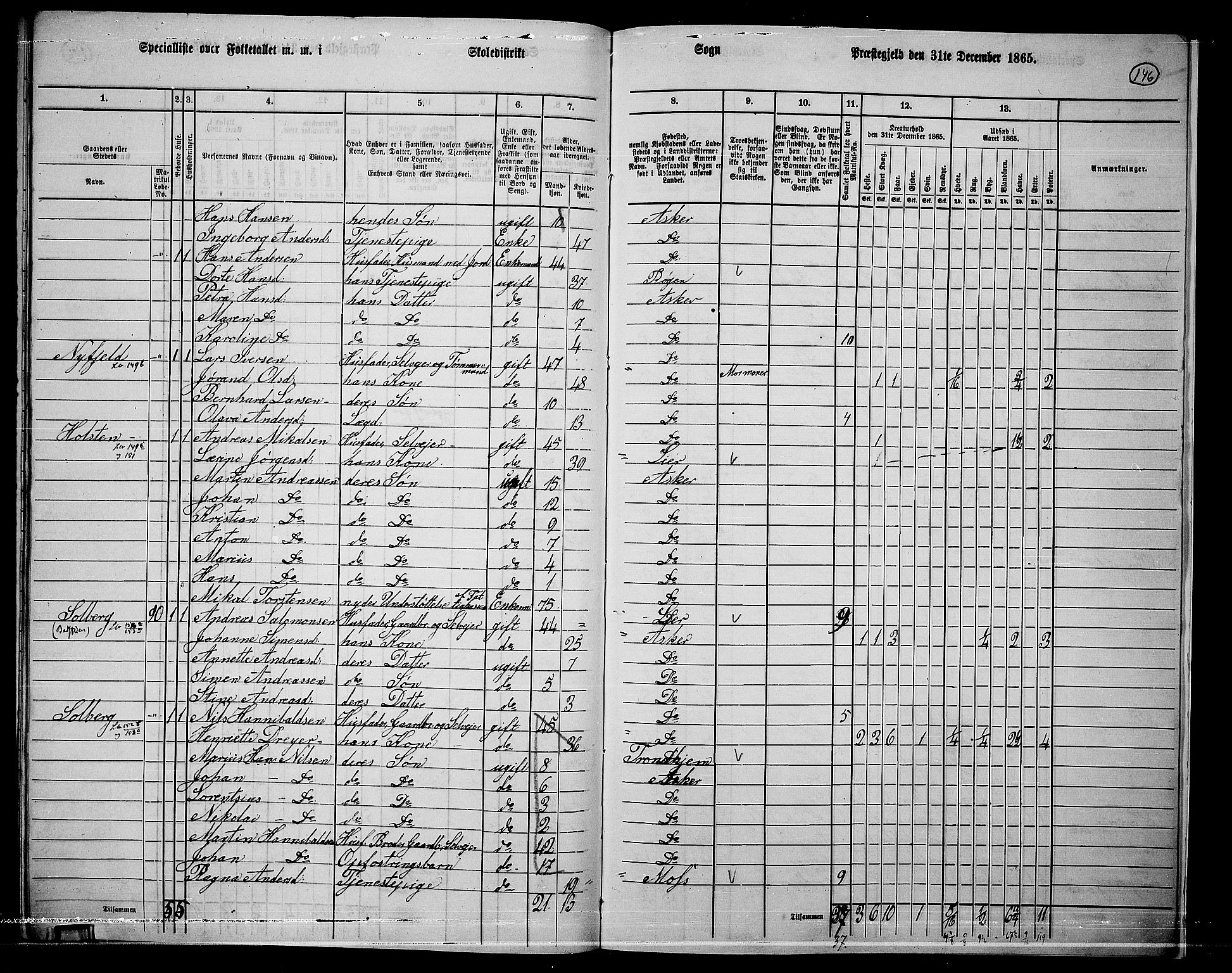 RA, 1865 census for Asker, 1865, p. 141