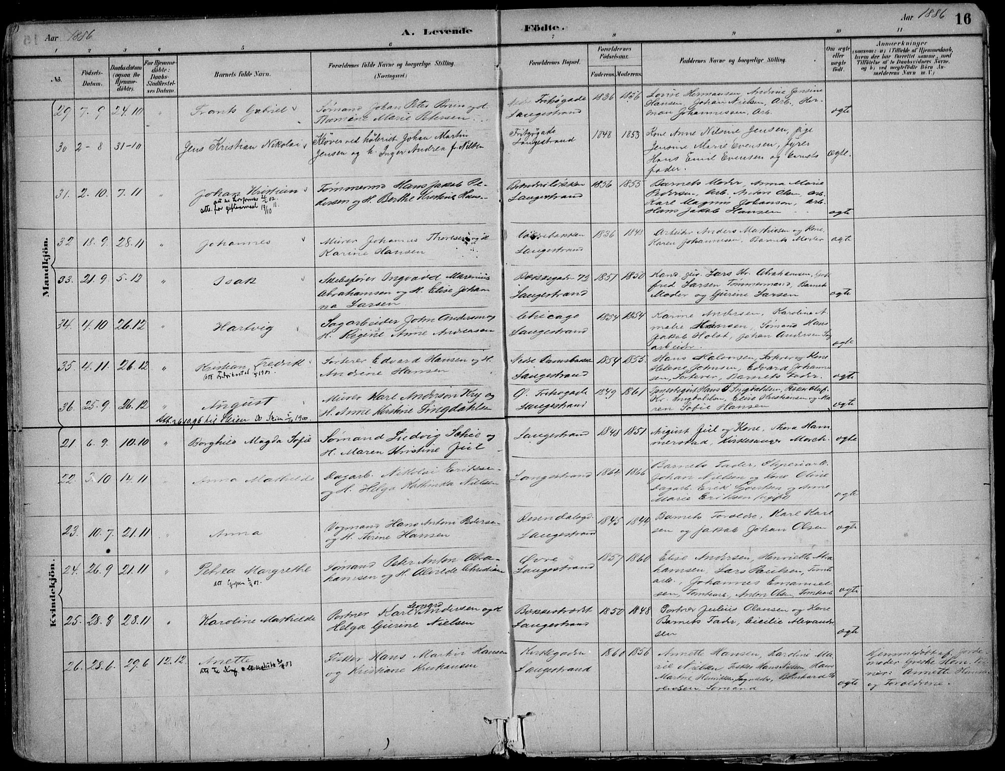 Larvik kirkebøker, AV/SAKO-A-352/F/Fb/L0004: Parish register (official) no. II 4, 1884-1902, p. 16