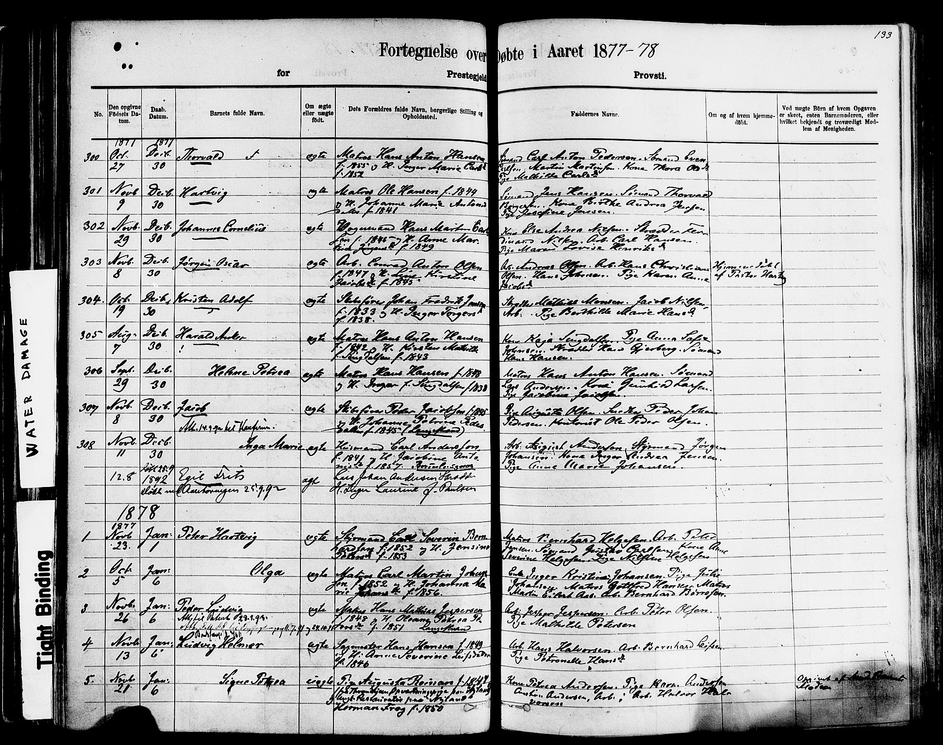 Larvik kirkebøker, AV/SAKO-A-352/F/Fa/L0006: Parish register (official) no. I 6, 1871-1883, p. 133