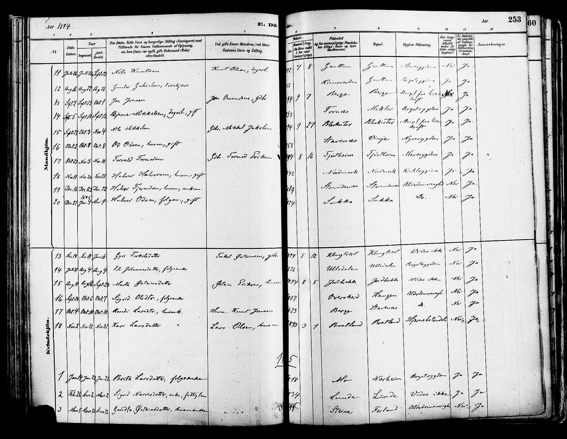 Suldal sokneprestkontor, AV/SAST-A-101845/01/IV/L0011: Parish register (official) no. A 11, 1878-1900, p. 253