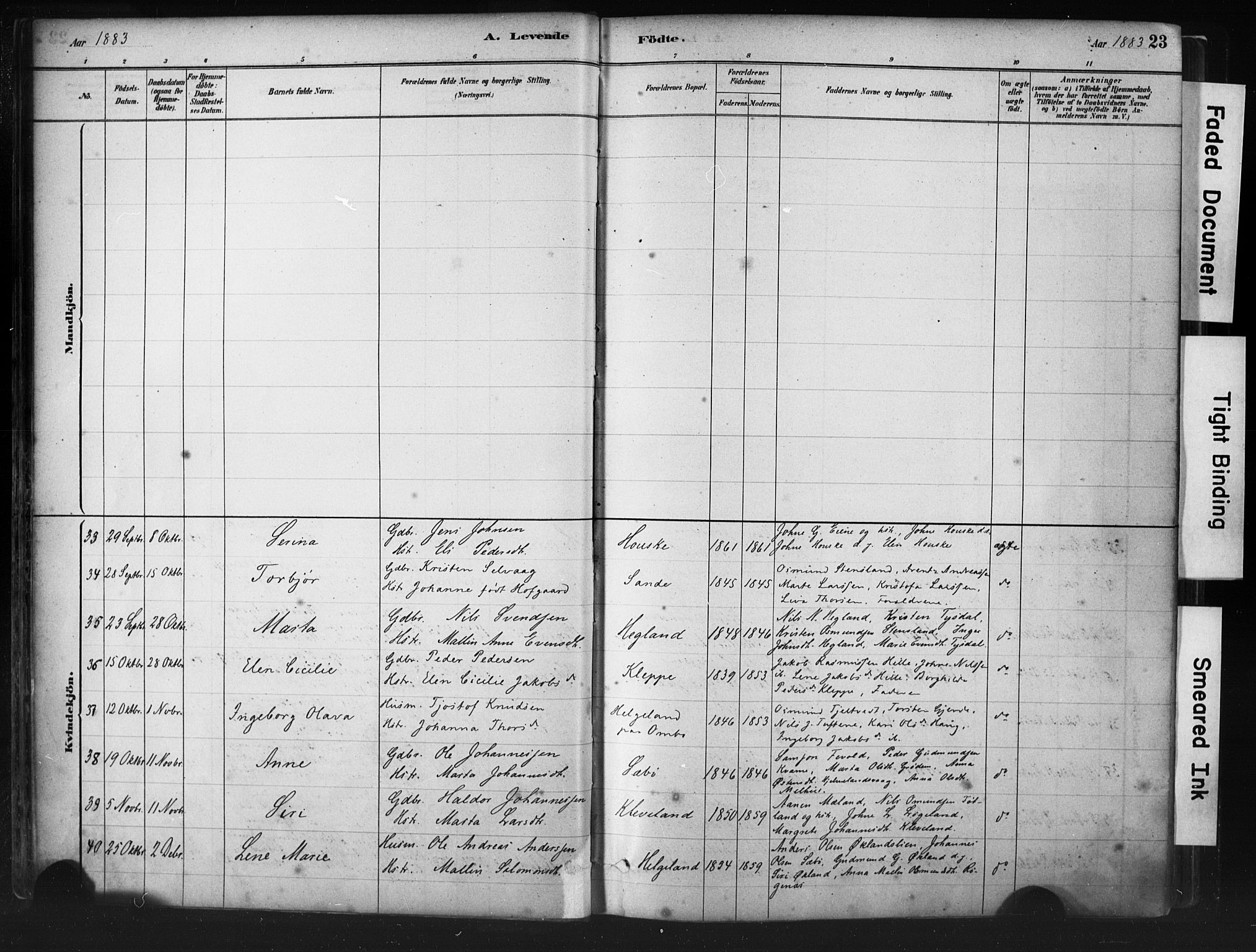 Hjelmeland sokneprestkontor, AV/SAST-A-101843/01/IV/L0014: Parish register (official) no. A 14, 1879-1900, p. 23