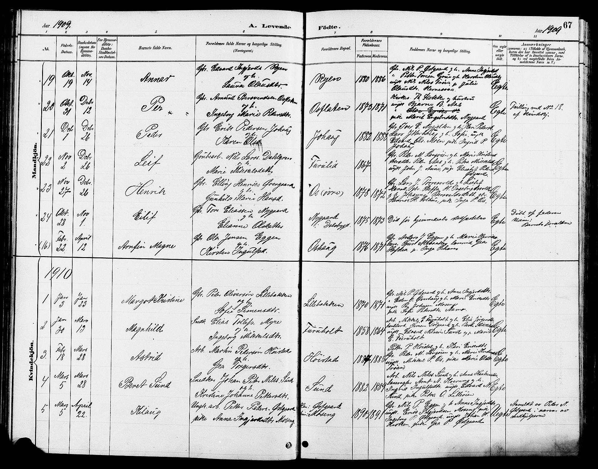 Tolga prestekontor, AV/SAH-PREST-062/L/L0008: Parish register (copy) no. 8, 1887-1912, p. 67