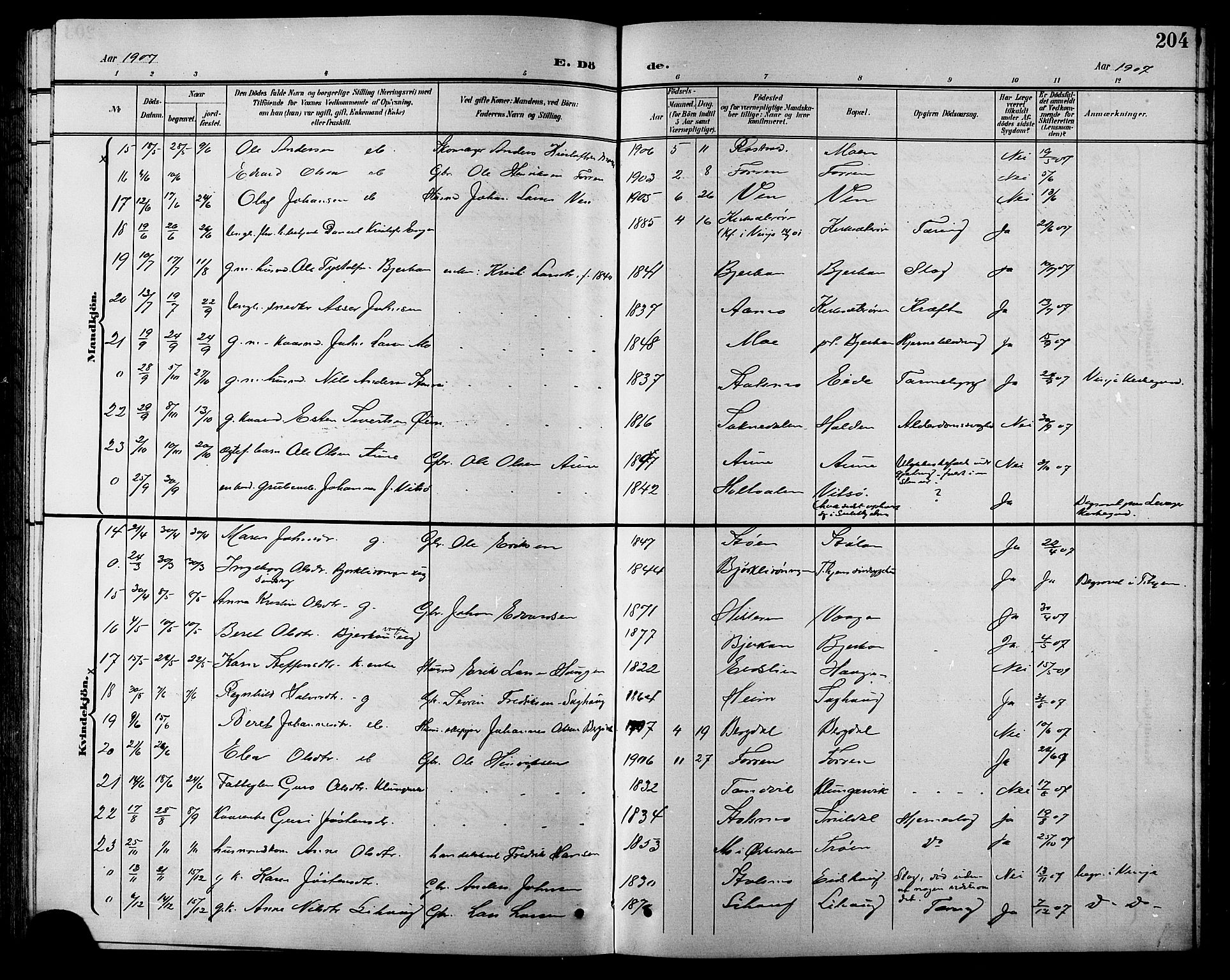 Ministerialprotokoller, klokkerbøker og fødselsregistre - Sør-Trøndelag, AV/SAT-A-1456/630/L0505: Parish register (copy) no. 630C03, 1899-1914, p. 204