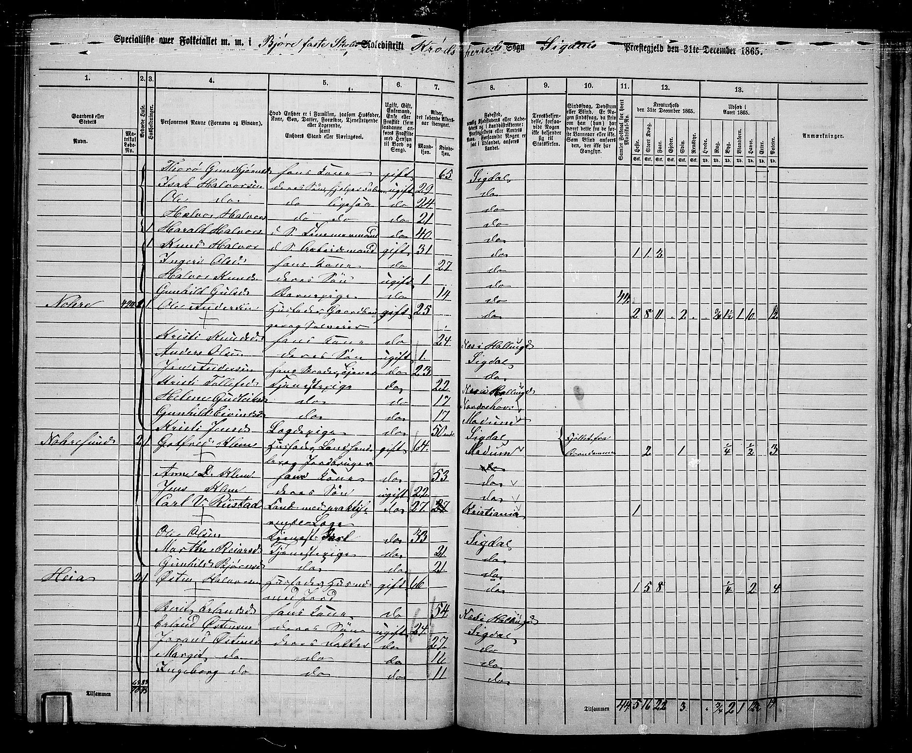 RA, 1865 census for Sigdal, 1865, p. 244