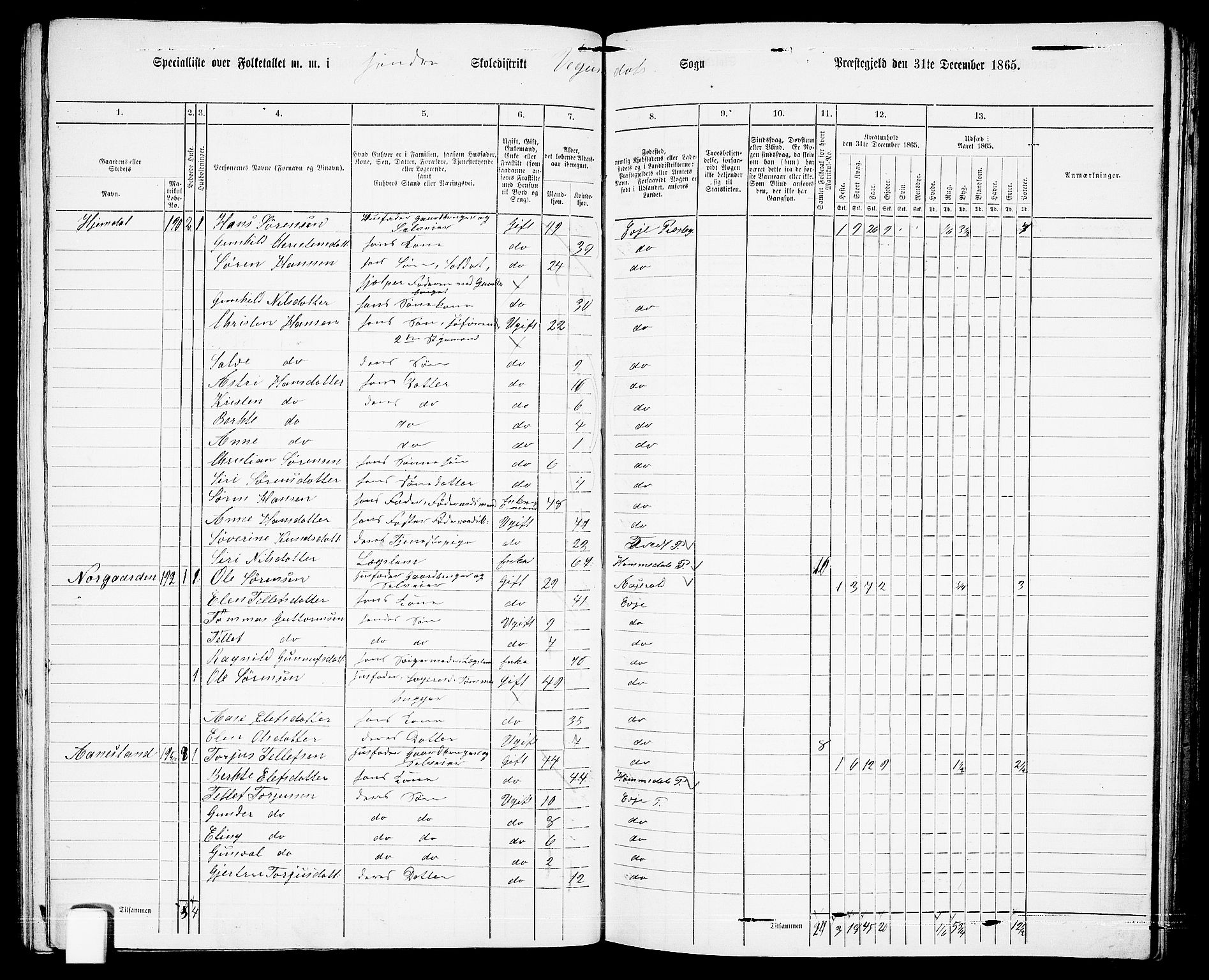 RA, 1865 census for Evje, 1865, p. 80