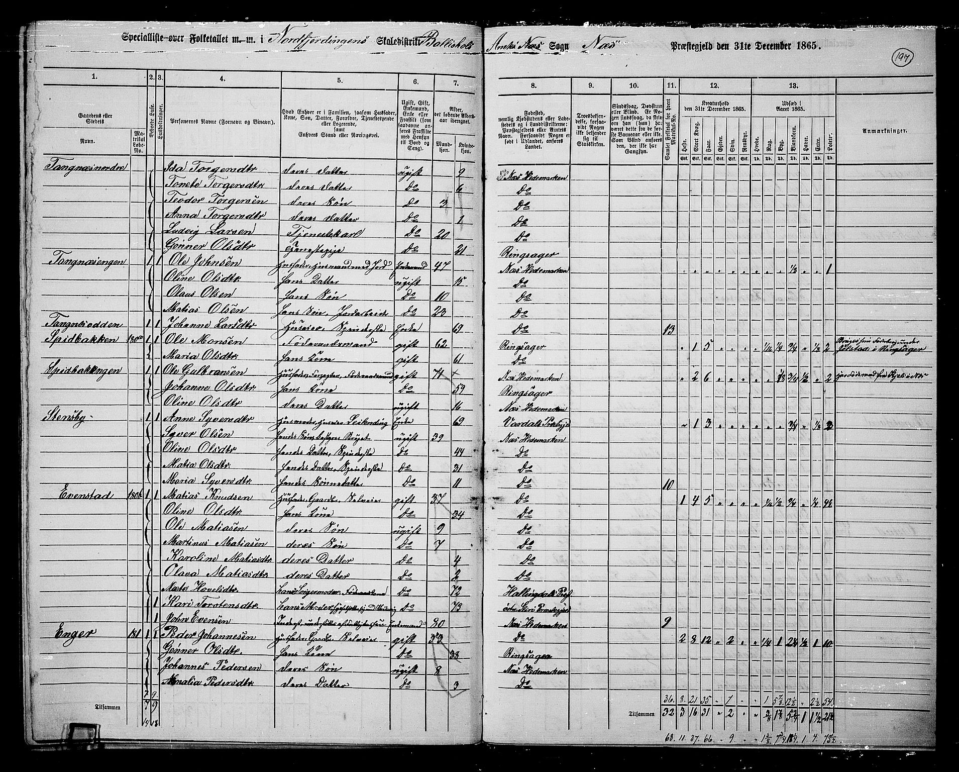 RA, 1865 census for Nes, 1865, p. 171