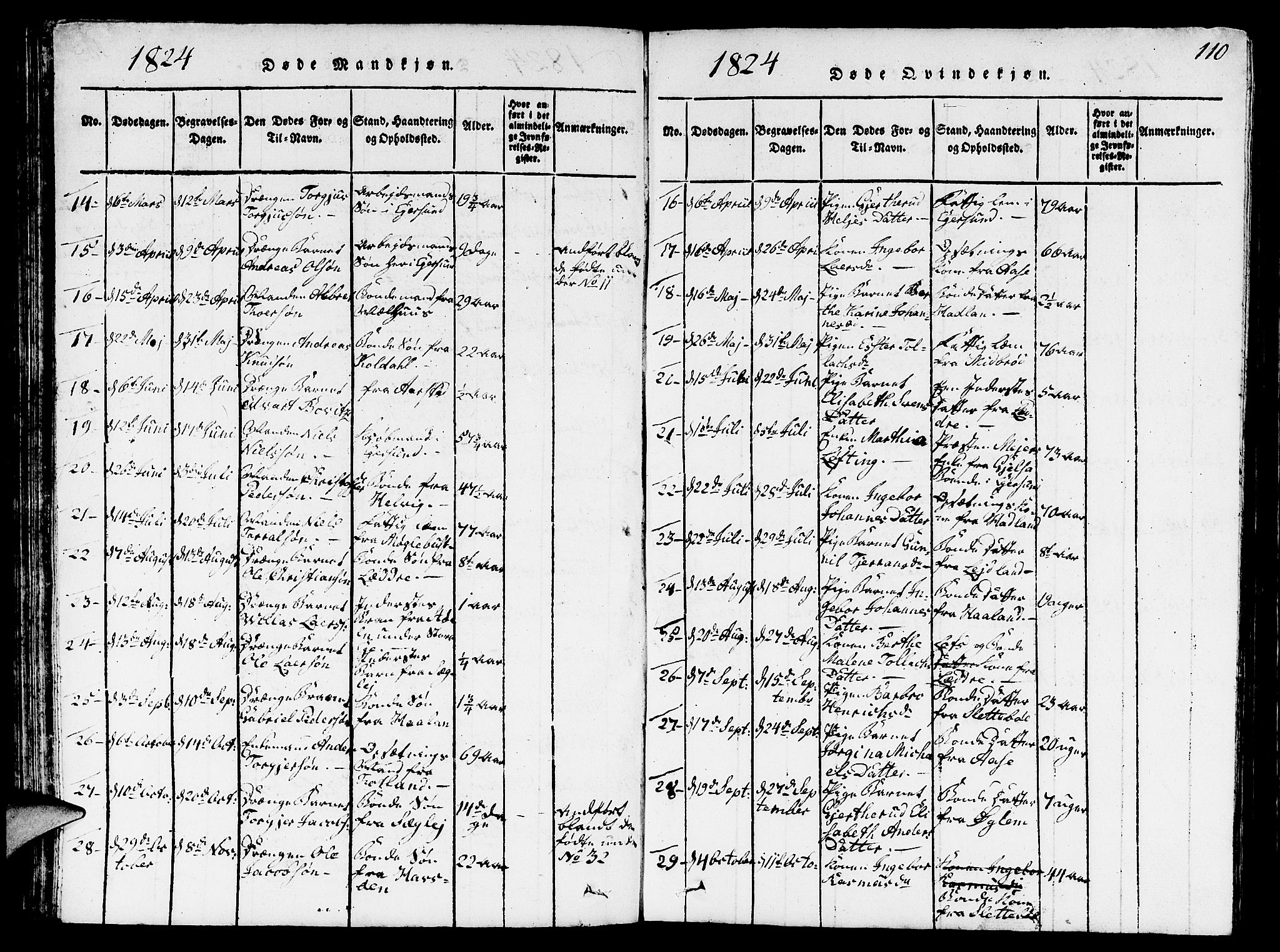 Eigersund sokneprestkontor, AV/SAST-A-101807/S09/L0001: Parish register (copy) no. B 1, 1815-1827, p. 110