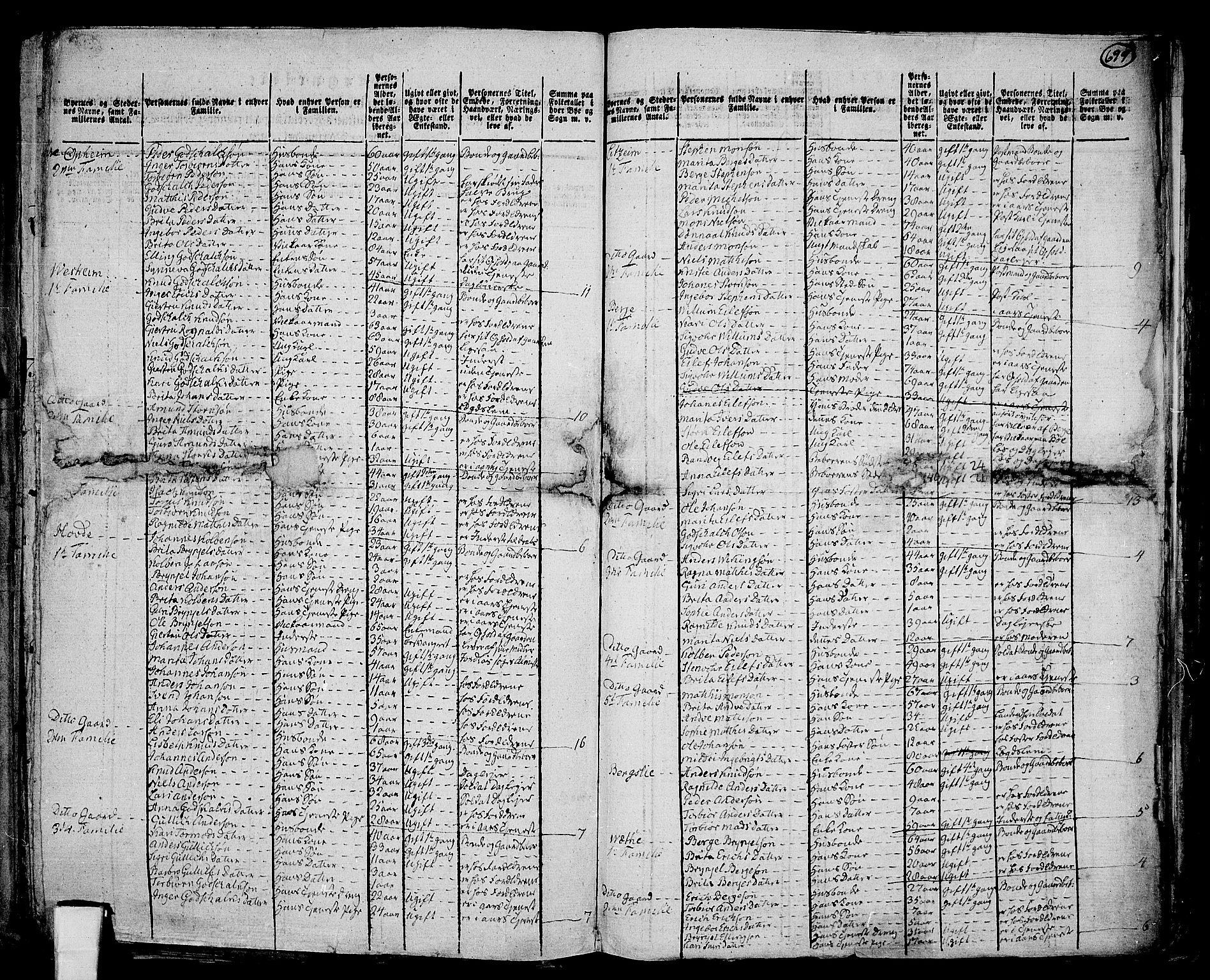 RA, 1801 census for 1235P Voss, 1801, p. 698b-699a