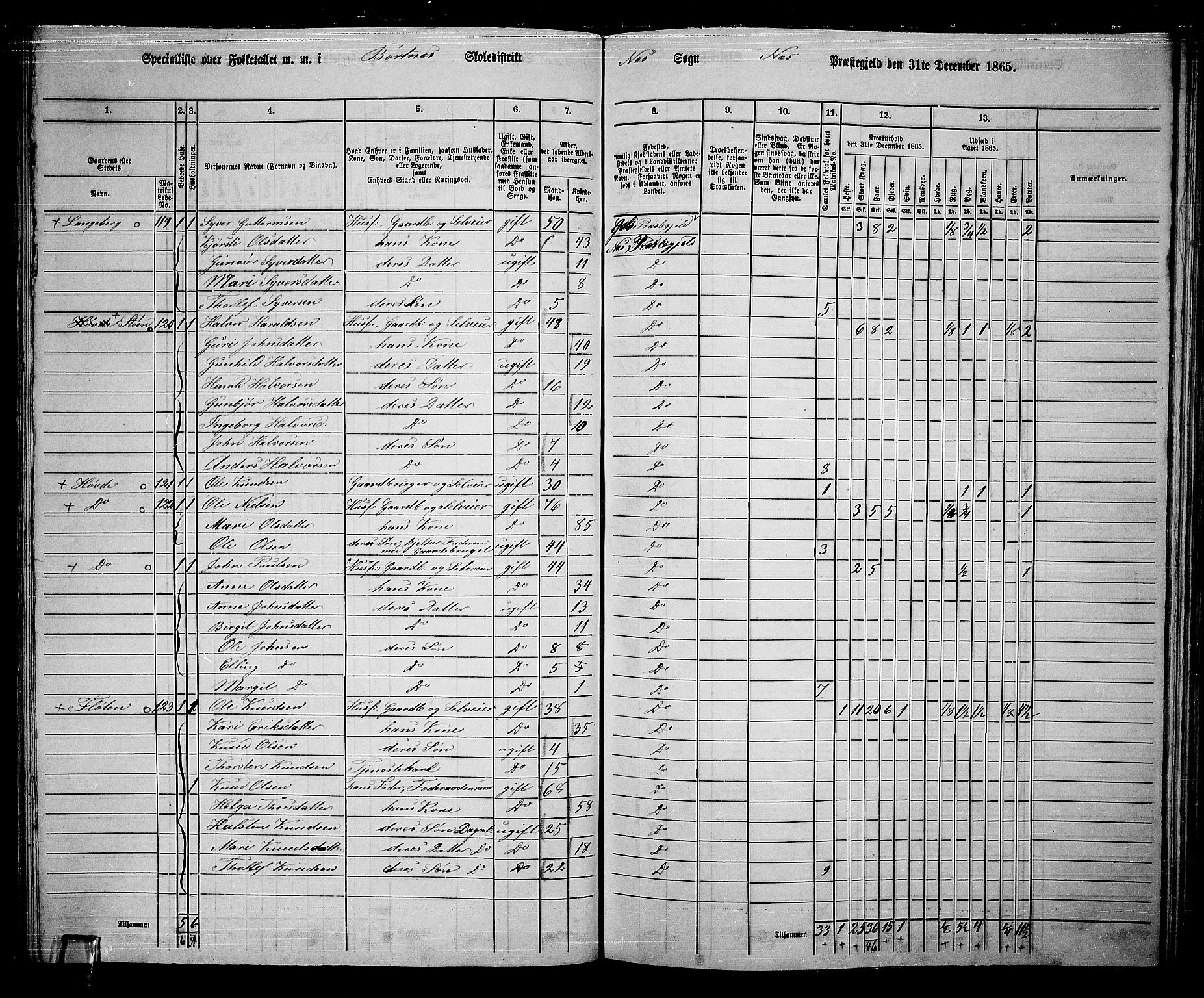 RA, 1865 census for Nes, 1865, p. 106