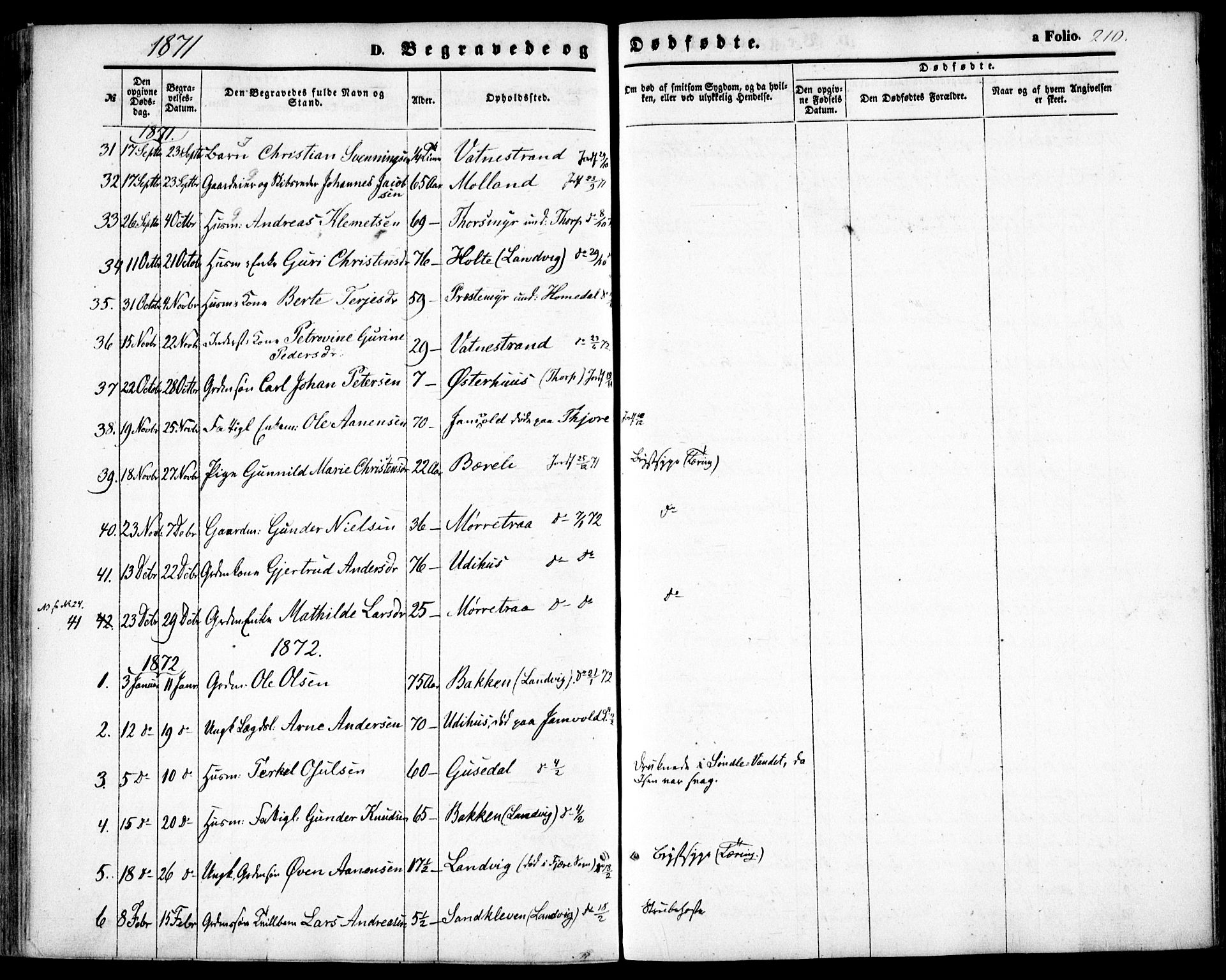 Hommedal sokneprestkontor, AV/SAK-1111-0023/F/Fa/Fab/L0005: Parish register (official) no. A 5, 1861-1877, p. 210