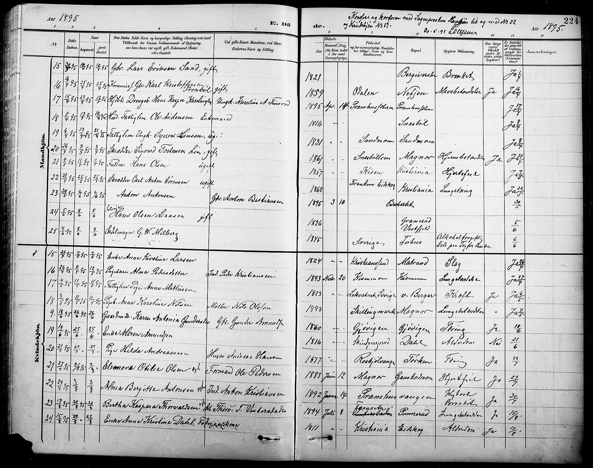 Eidskog prestekontor, AV/SAH-PREST-026/H/Ha/Hab/L0001: Parish register (copy) no. 1, 1895-1917, p. 224