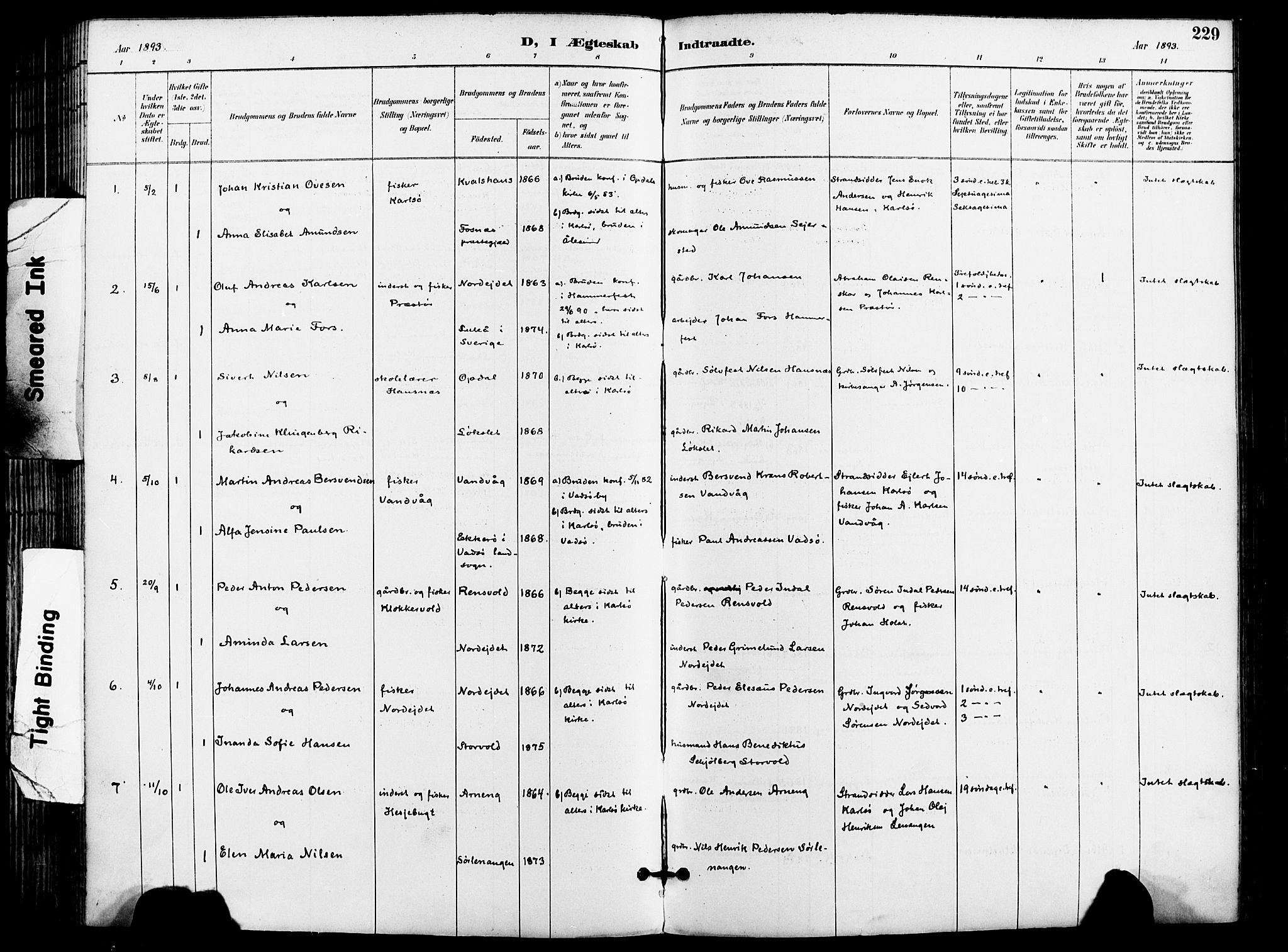 Karlsøy sokneprestembete, AV/SATØ-S-1299/H/Ha/Haa/L0007kirke: Parish register (official) no. 7, 1891-1902, p. 229