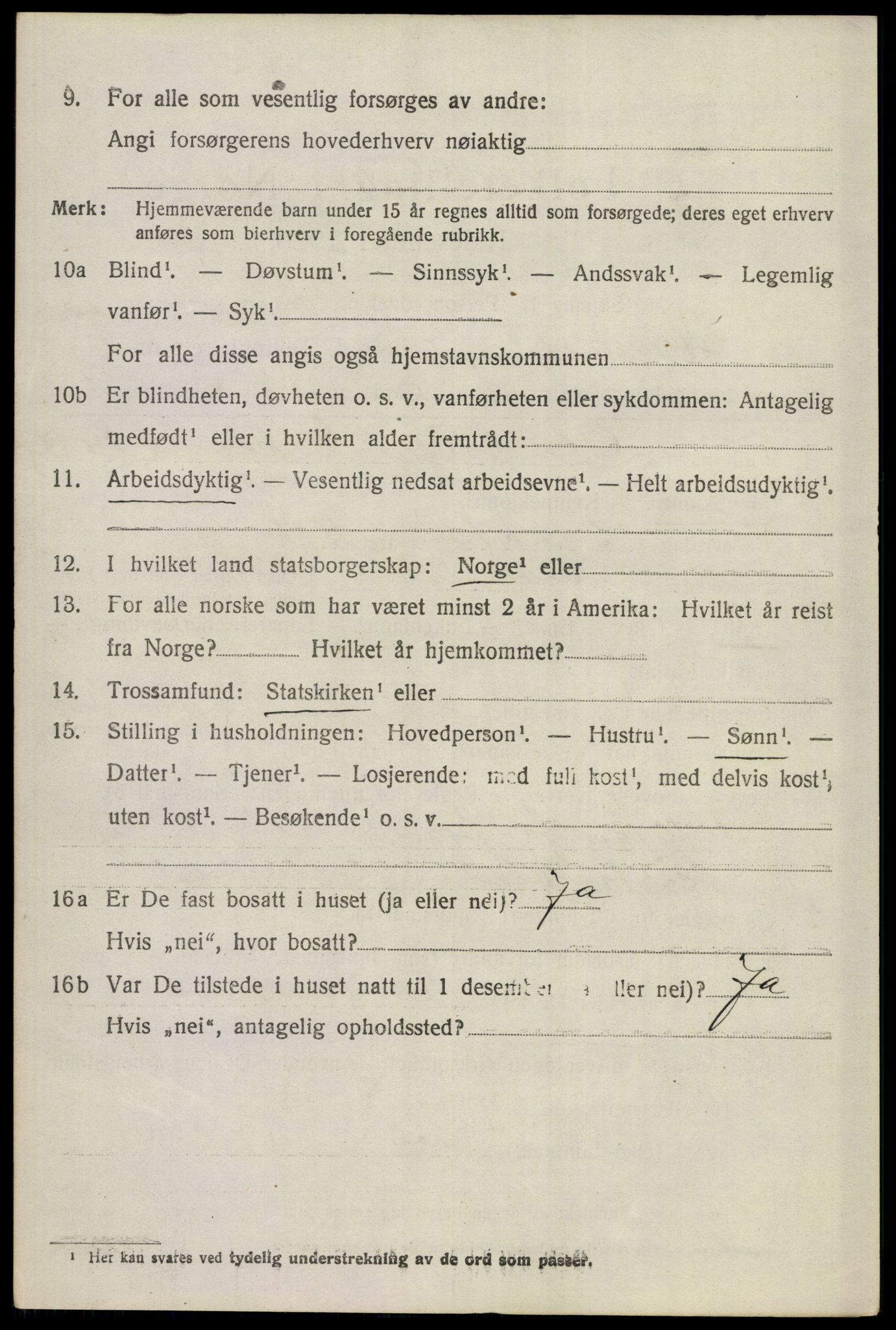 SAKO, 1920 census for Hemsedal, 1920, p. 2955