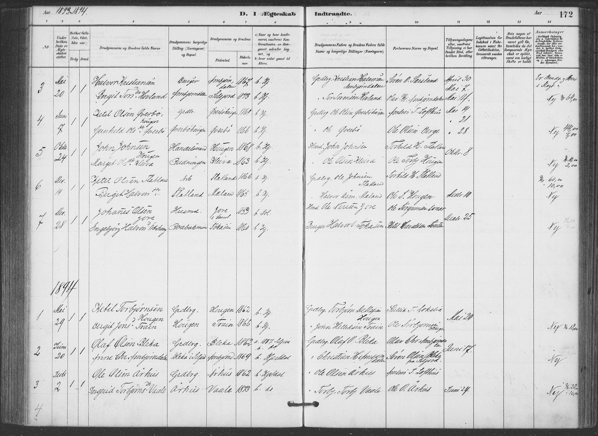 Hjartdal kirkebøker, SAKO/A-270/F/Fa/L0010: Parish register (official) no. I 10, 1880-1929, p. 172