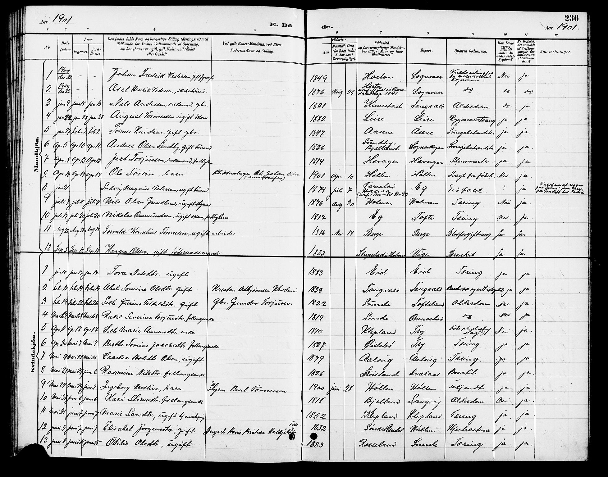 Søgne sokneprestkontor, SAK/1111-0037/F/Fb/Fbb/L0006: Parish register (copy) no. B 6, 1892-1911, p. 236
