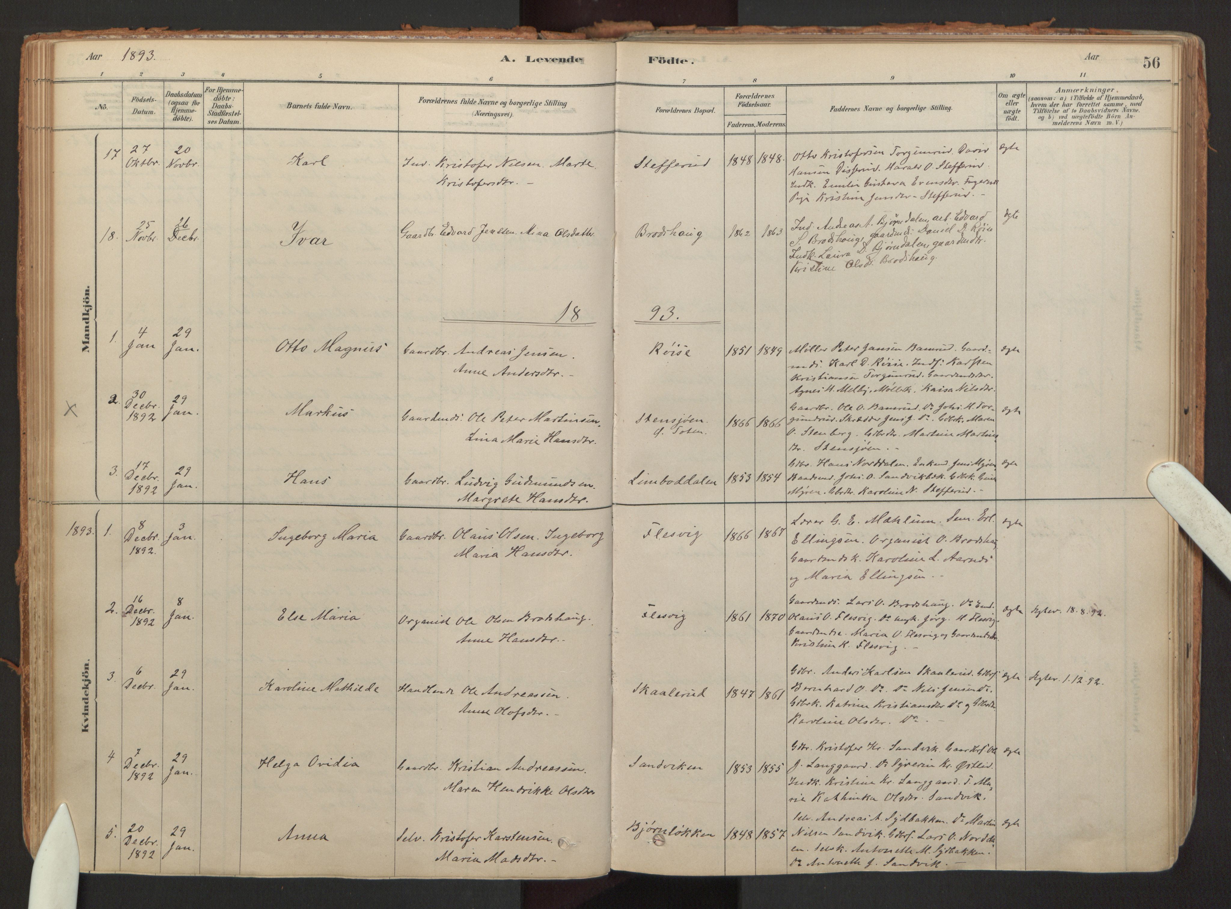 Hurdal prestekontor Kirkebøker, SAO/A-10889/F/Fb/L0003: Parish register (official) no. II 3, 1878-1920, p. 56