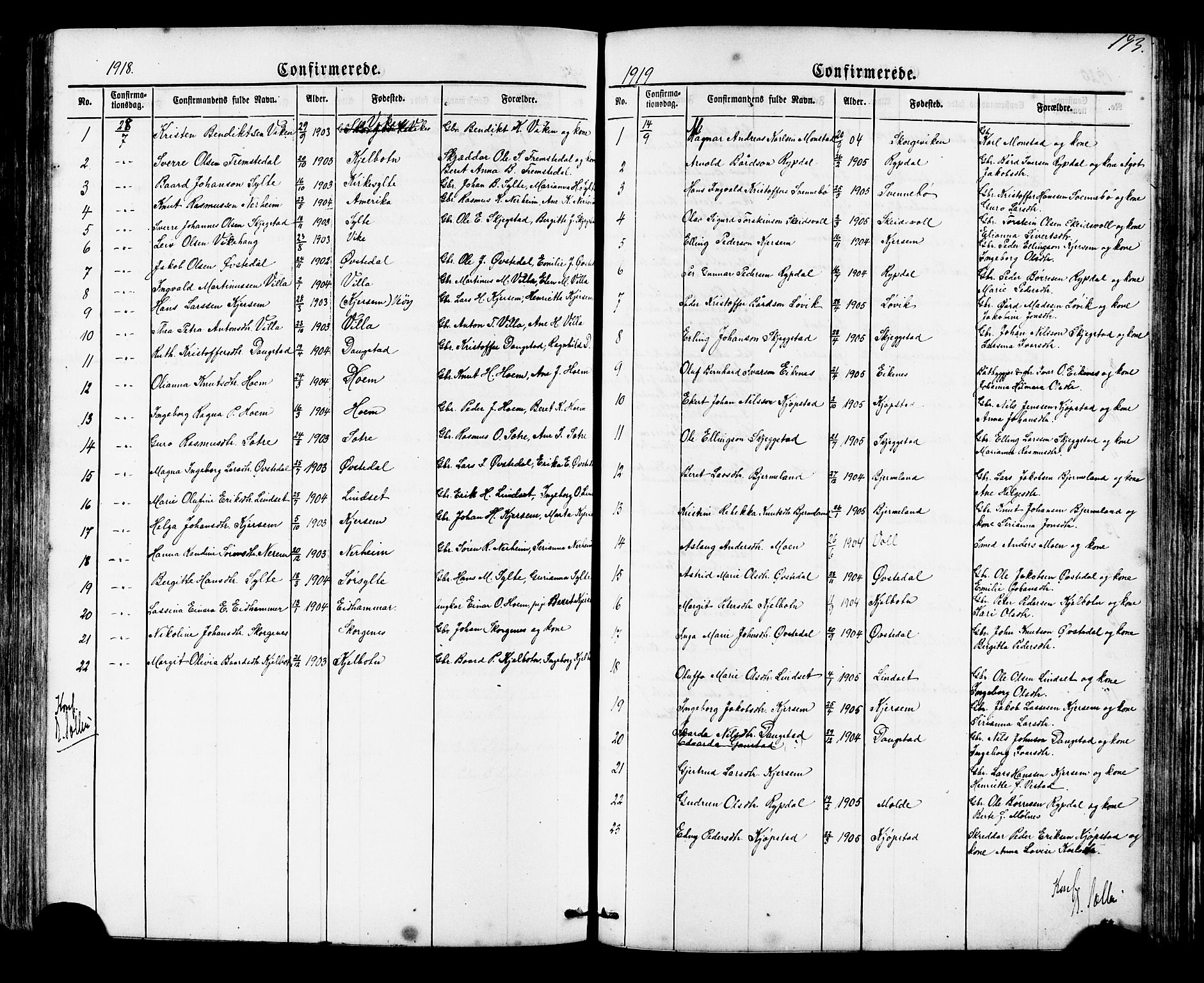 Ministerialprotokoller, klokkerbøker og fødselsregistre - Møre og Romsdal, SAT/A-1454/541/L0547: Parish register (copy) no. 541C02, 1867-1921, p. 193