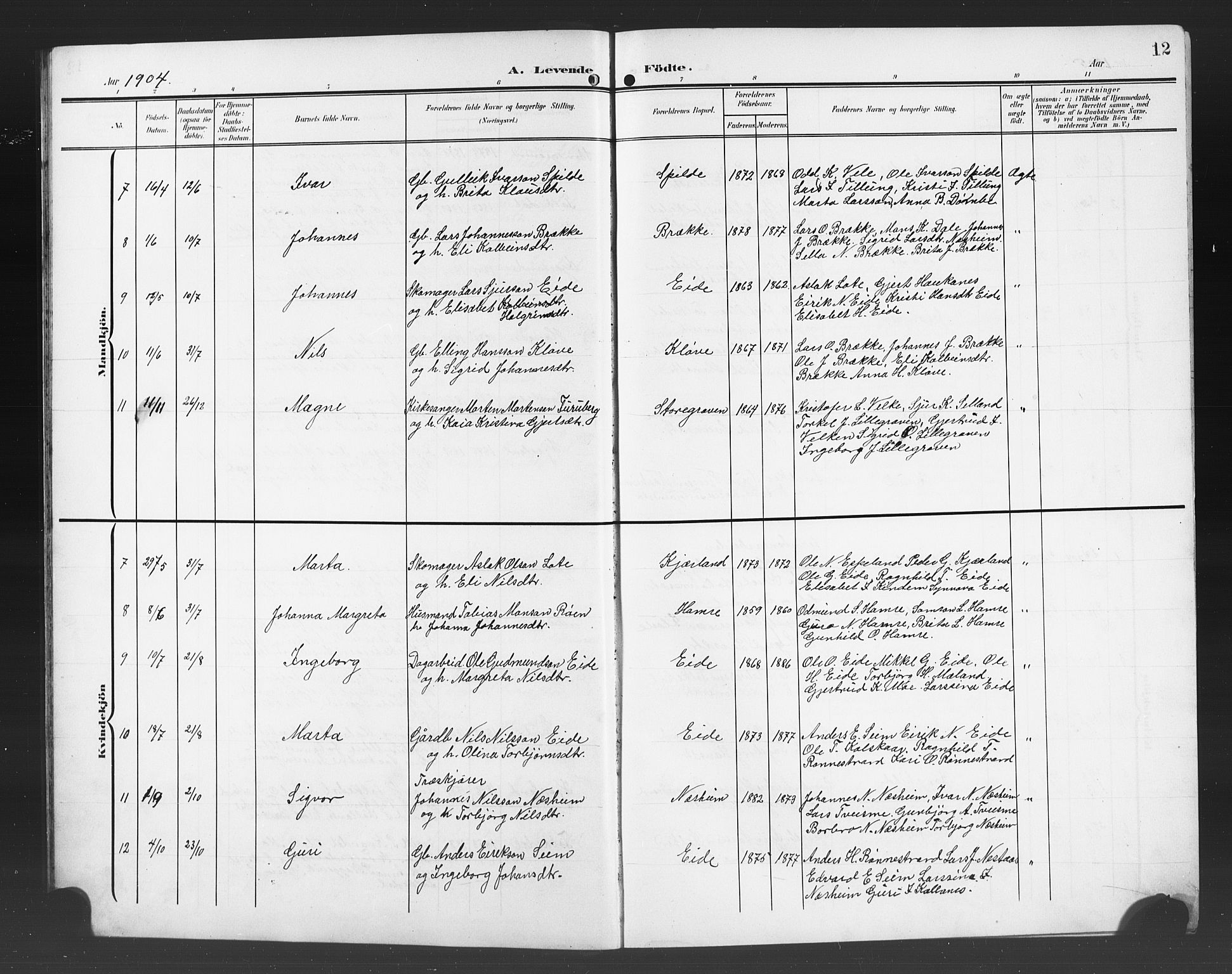 Ulvik sokneprestembete, SAB/A-78801/H/Hab: Parish register (copy) no. B 4, 1902-1923, p. 12