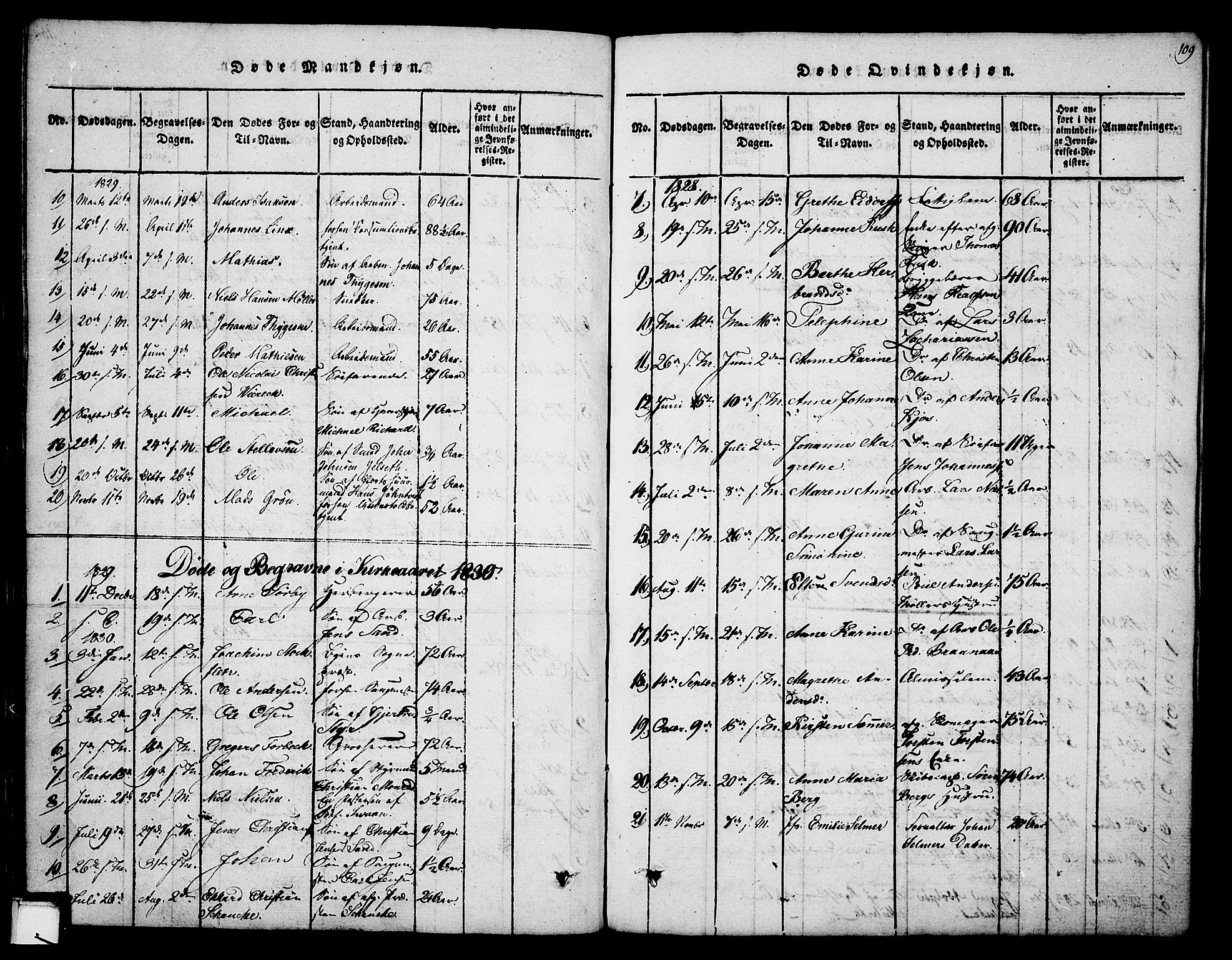 Skien kirkebøker, SAKO/A-302/F/Fa/L0005: Parish register (official) no. 5, 1814-1843, p. 109