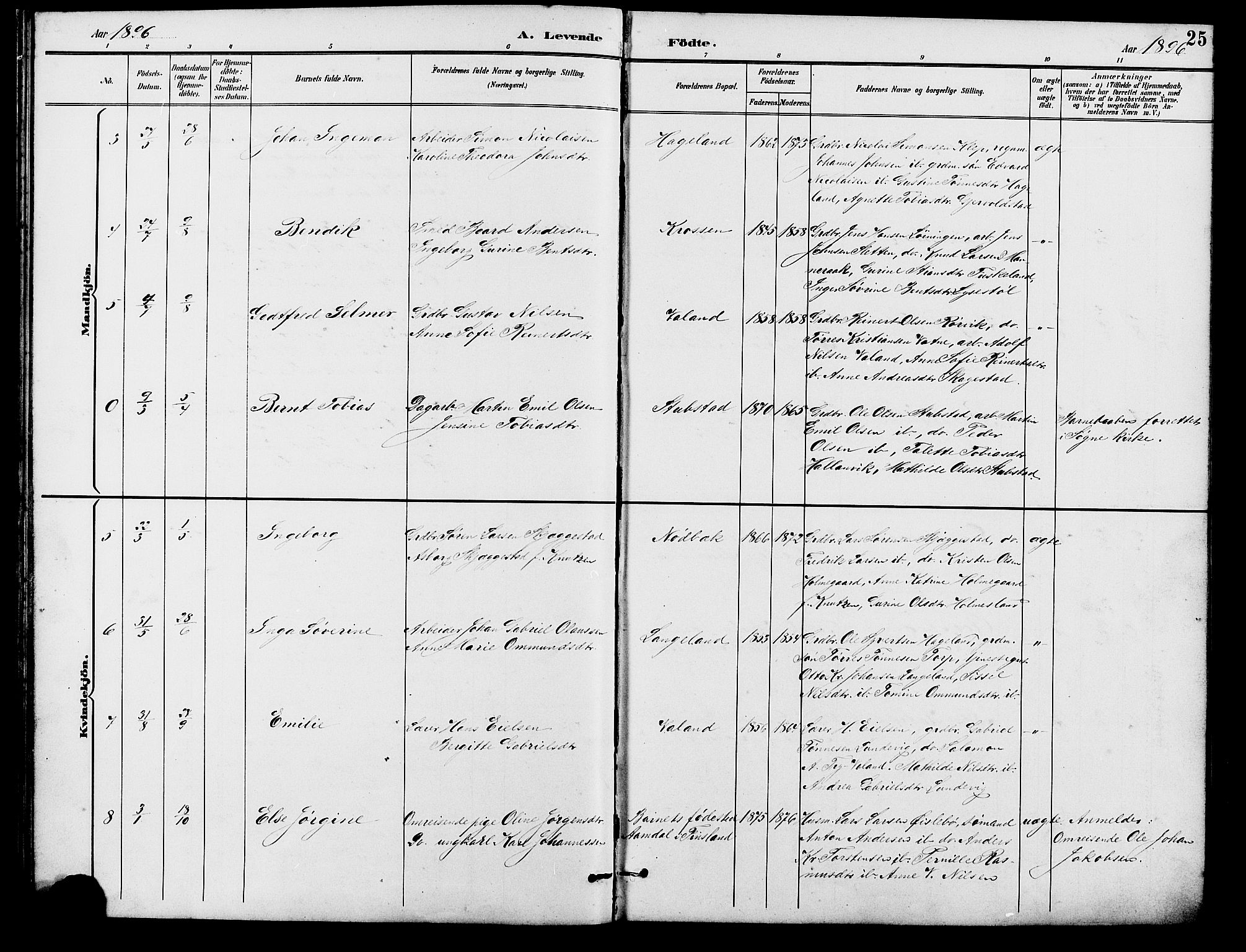 Holum sokneprestkontor, SAK/1111-0022/F/Fb/Fba/L0005: Parish register (copy) no. B 5, 1891-1909, p. 25