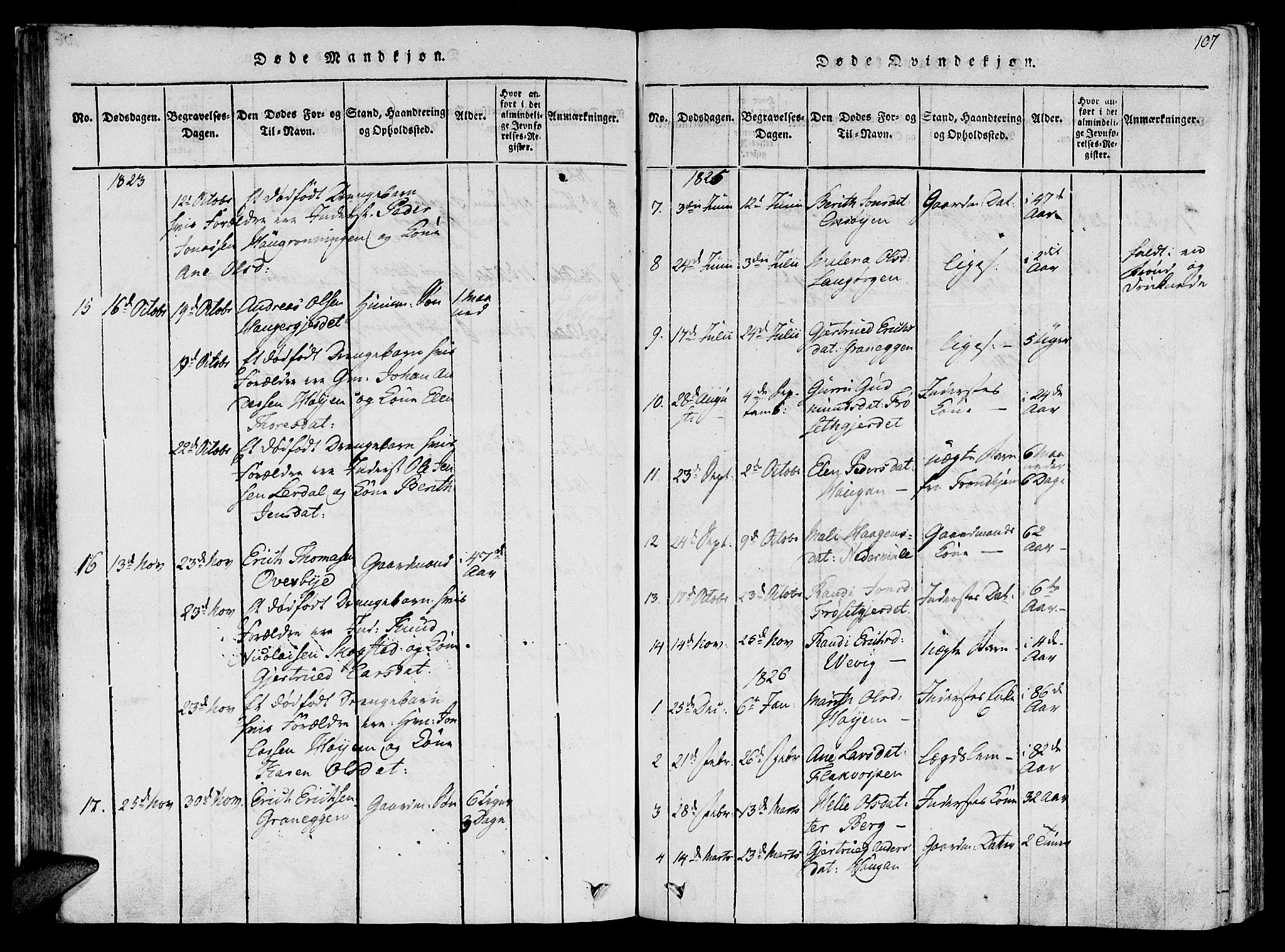 Ministerialprotokoller, klokkerbøker og fødselsregistre - Sør-Trøndelag, AV/SAT-A-1456/612/L0372: Parish register (official) no. 612A06 /1, 1816-1828, p. 107