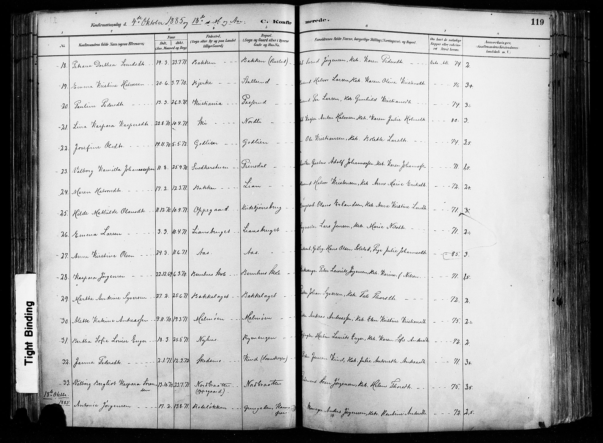 Østre Aker prestekontor Kirkebøker, AV/SAO-A-10840/F/Fa/L0008: Parish register (official) no. I 8, 1883-1894, p. 119